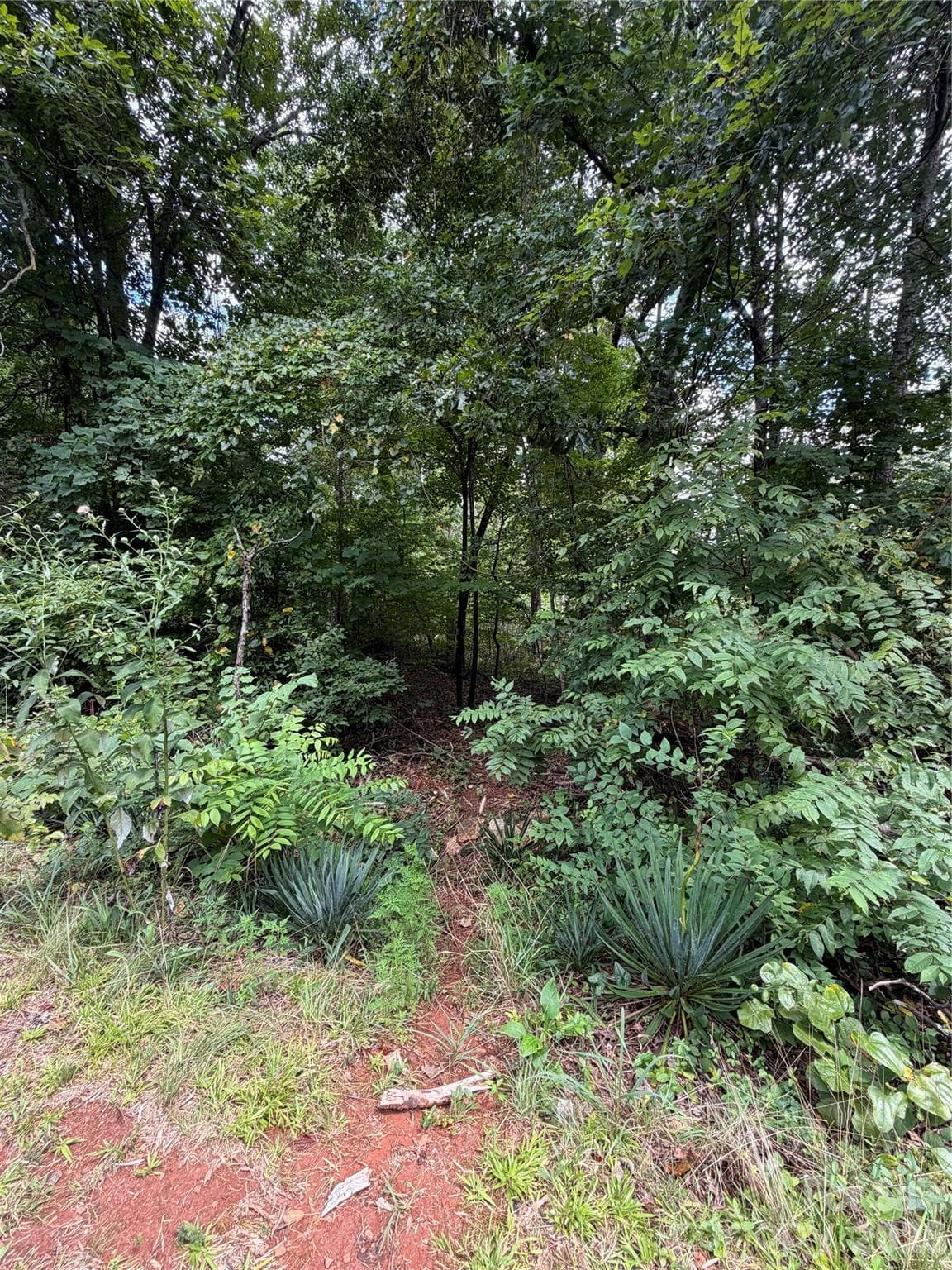 Acreage at 0 spindale Street, Spindale, photo 5 of 16