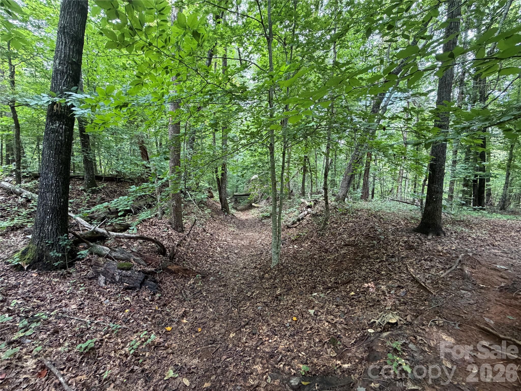 Acreage at 0 spindale Street, Spindale, photo 9 of 16