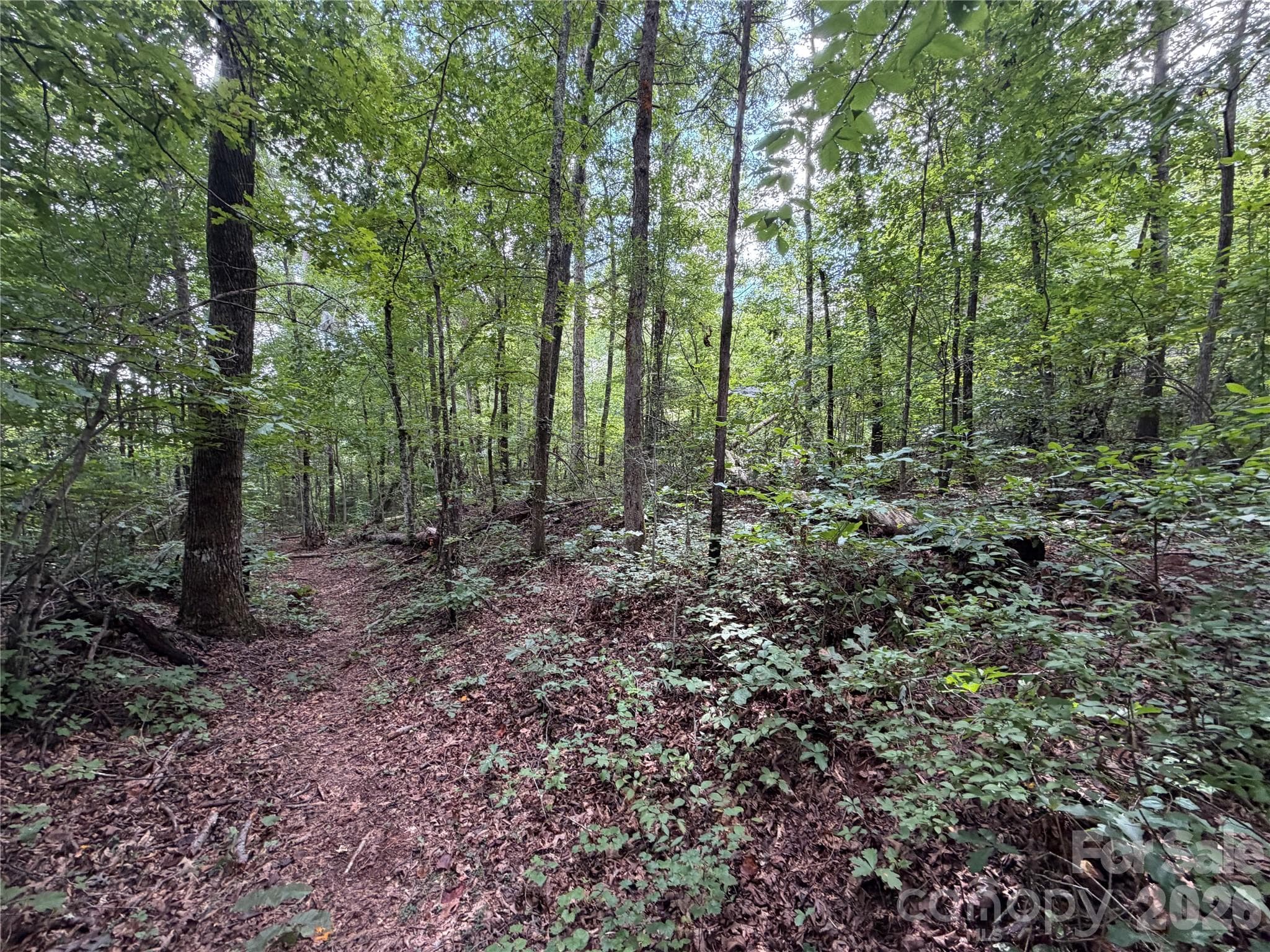 Acreage at 0 spindale Street, Spindale, photo 10 of 16