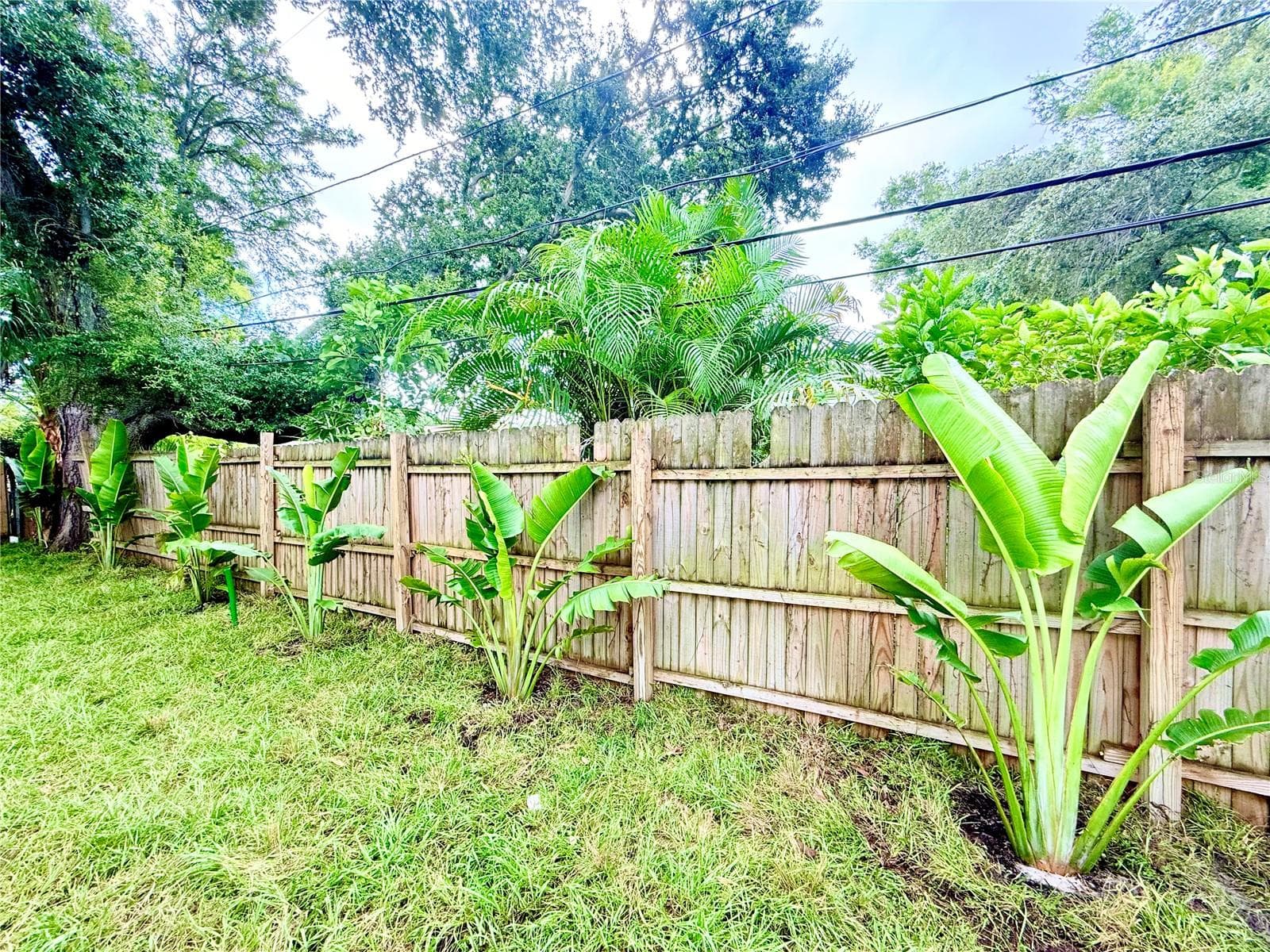 Single Family Residence at 1557 ROBINSON DR N, ST PETERSBURG, photo 38 of 45