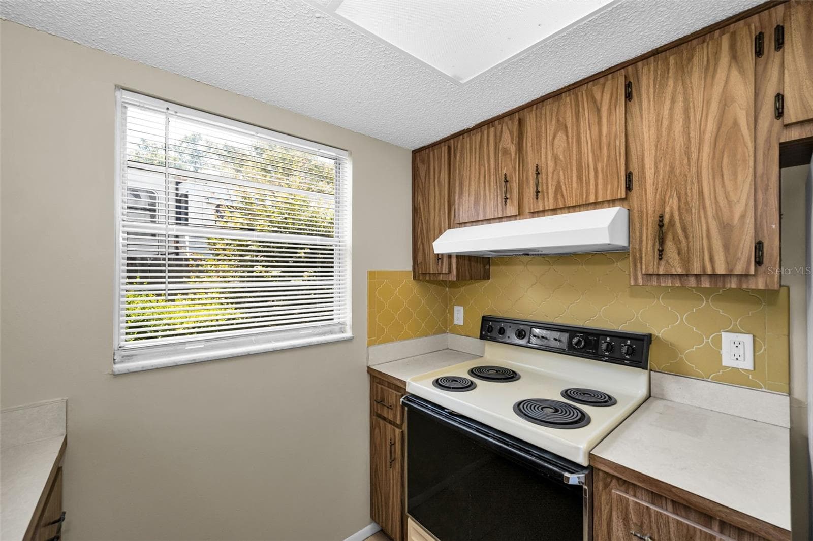Single Family Residence at 362 PORTLAND AVE, SPRING HILL, photo 17 of 50