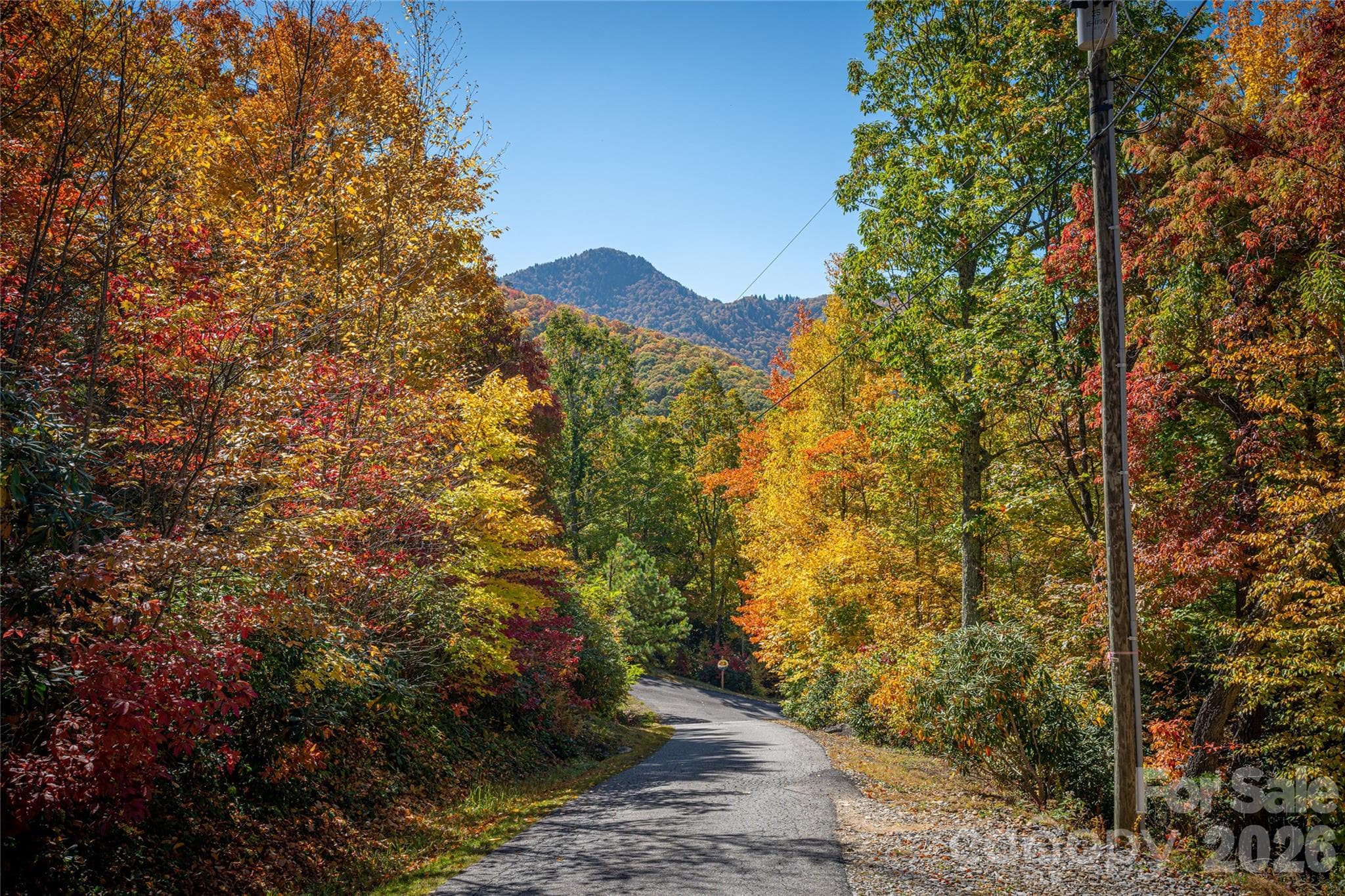 Discover Fall Foliage - 398 Locust Drive, Maggie Valley