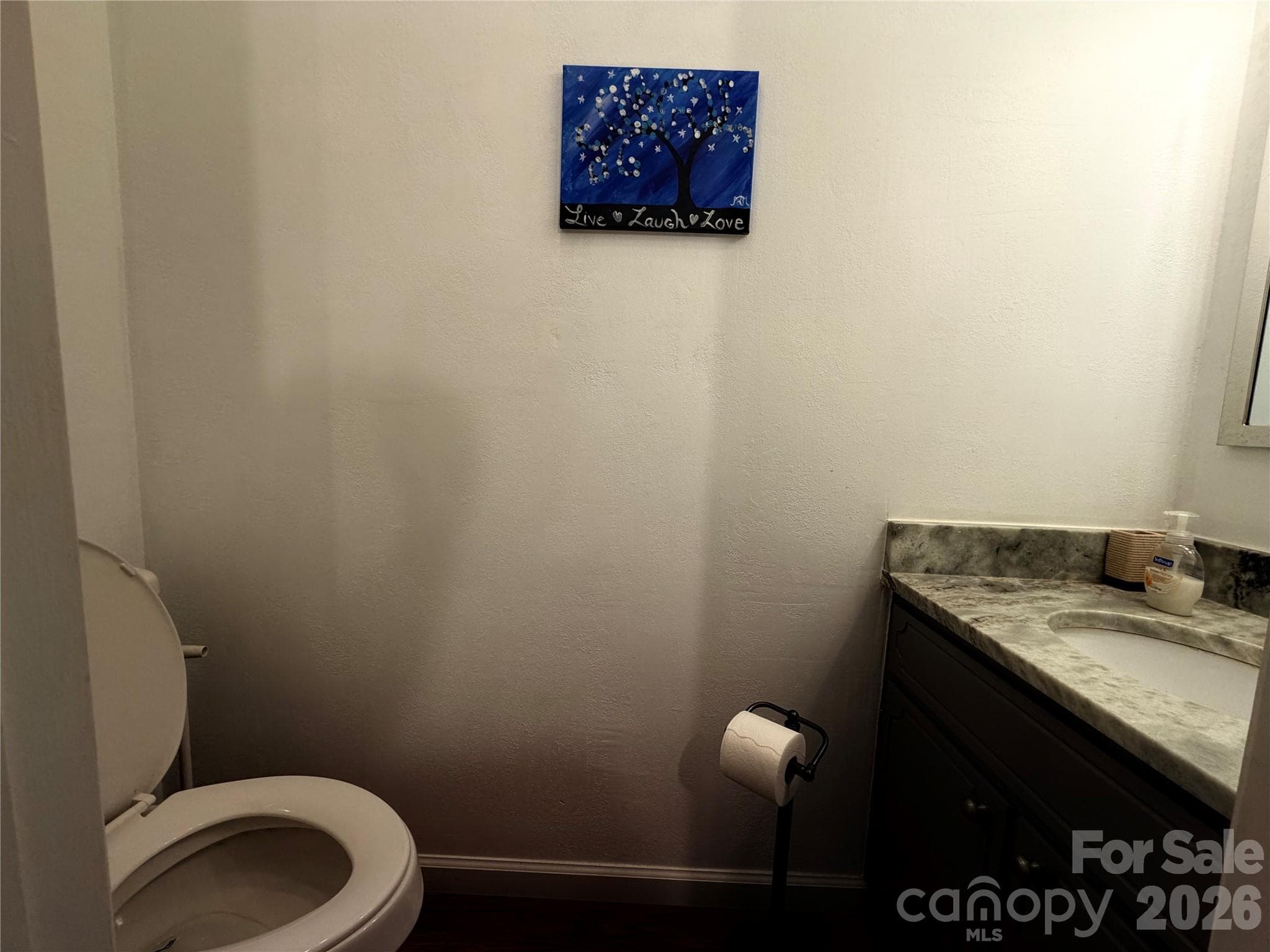 Downstairs Guest half bathroom - 1000 Beaumont Poplar Street, North Wilkesboro