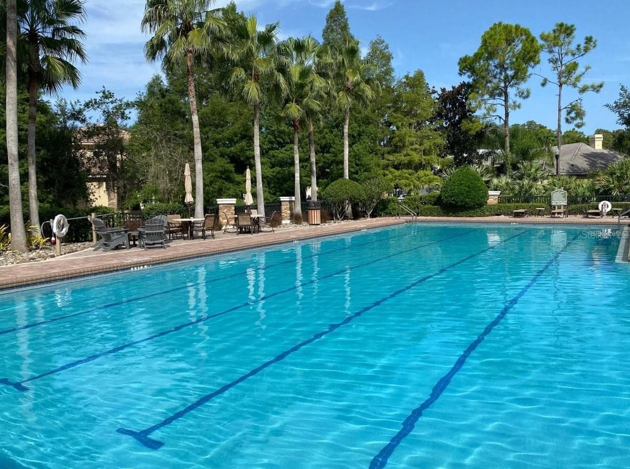 Community Pool - 21246 QUIET HAVEN CT, LAND O LAKES