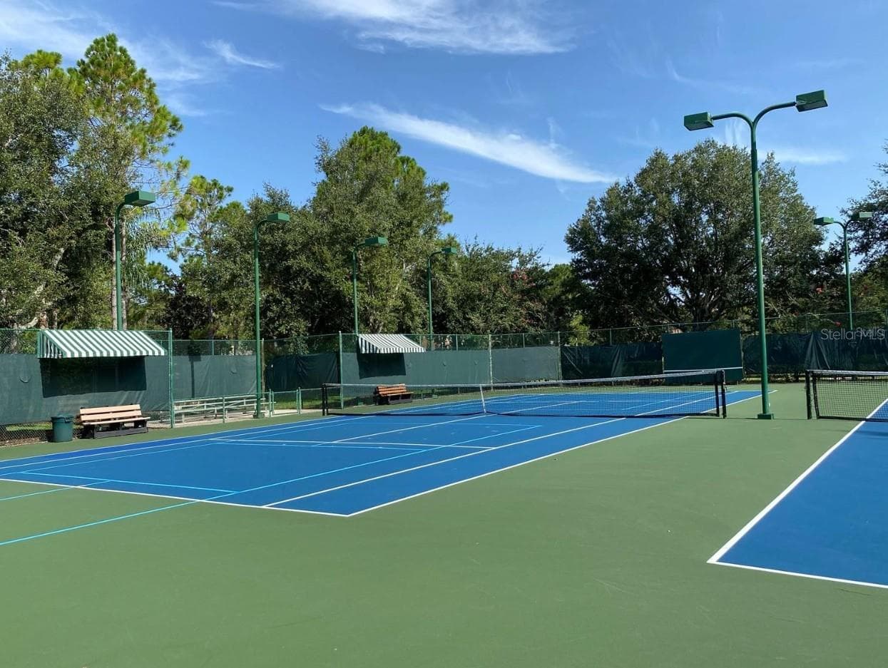Community Tennis & Pickle Ball - 21246 QUIET HAVEN CT, LAND O LAKES
