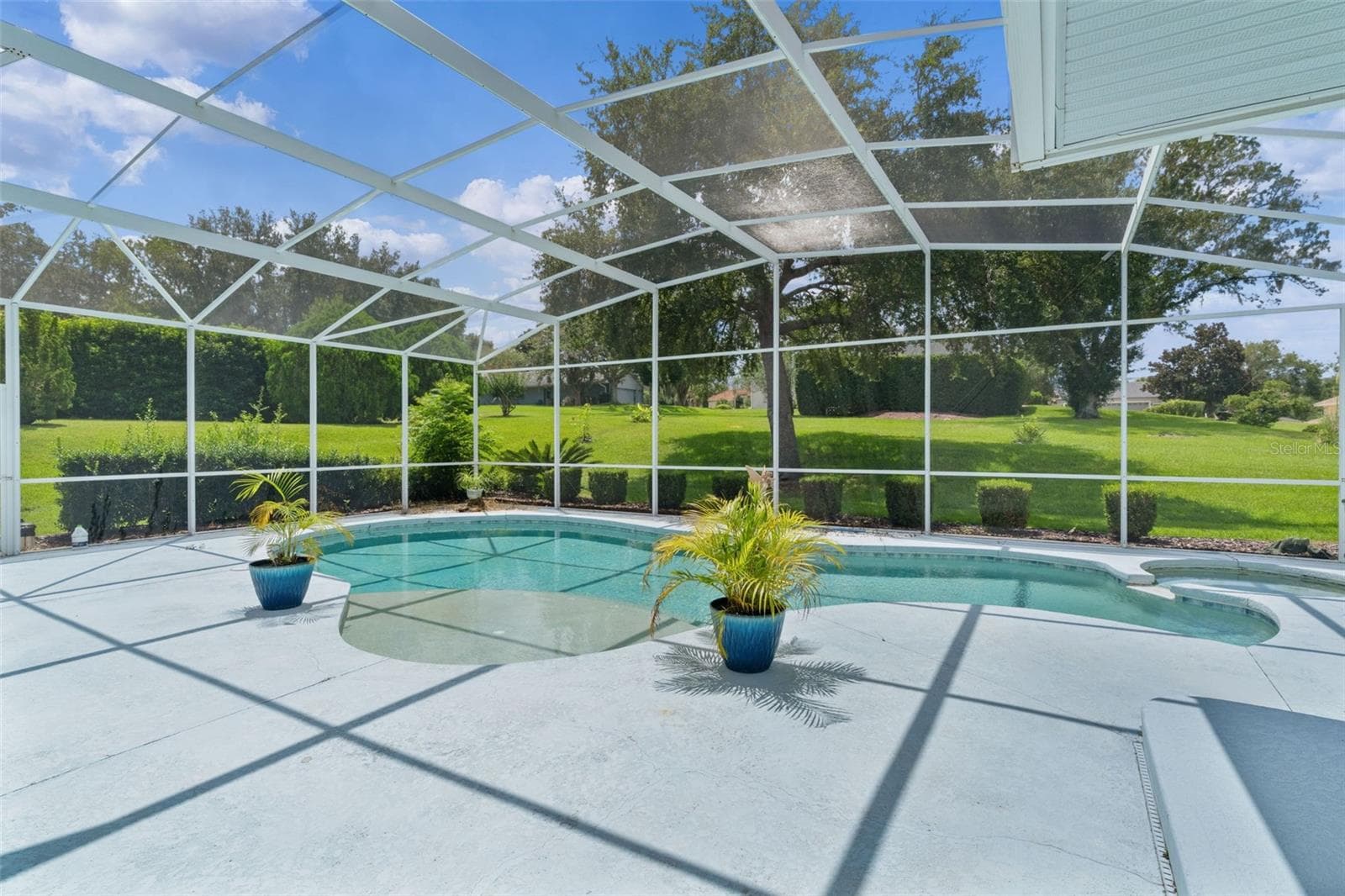 Pool & Spa - 39407 TREELINE DR, LADY LAKE