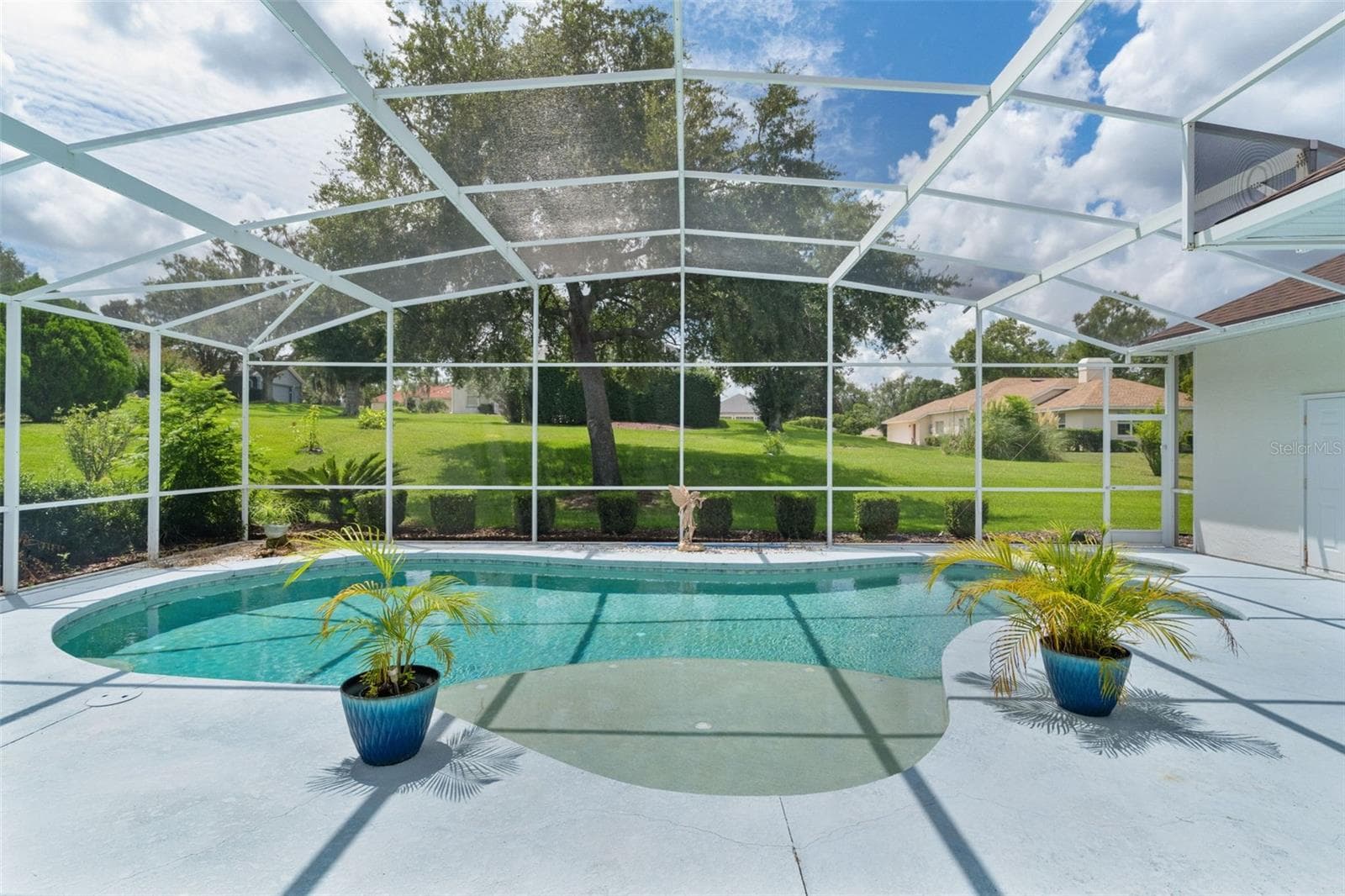Pool & Spa - 39407 TREELINE DR, LADY LAKE
