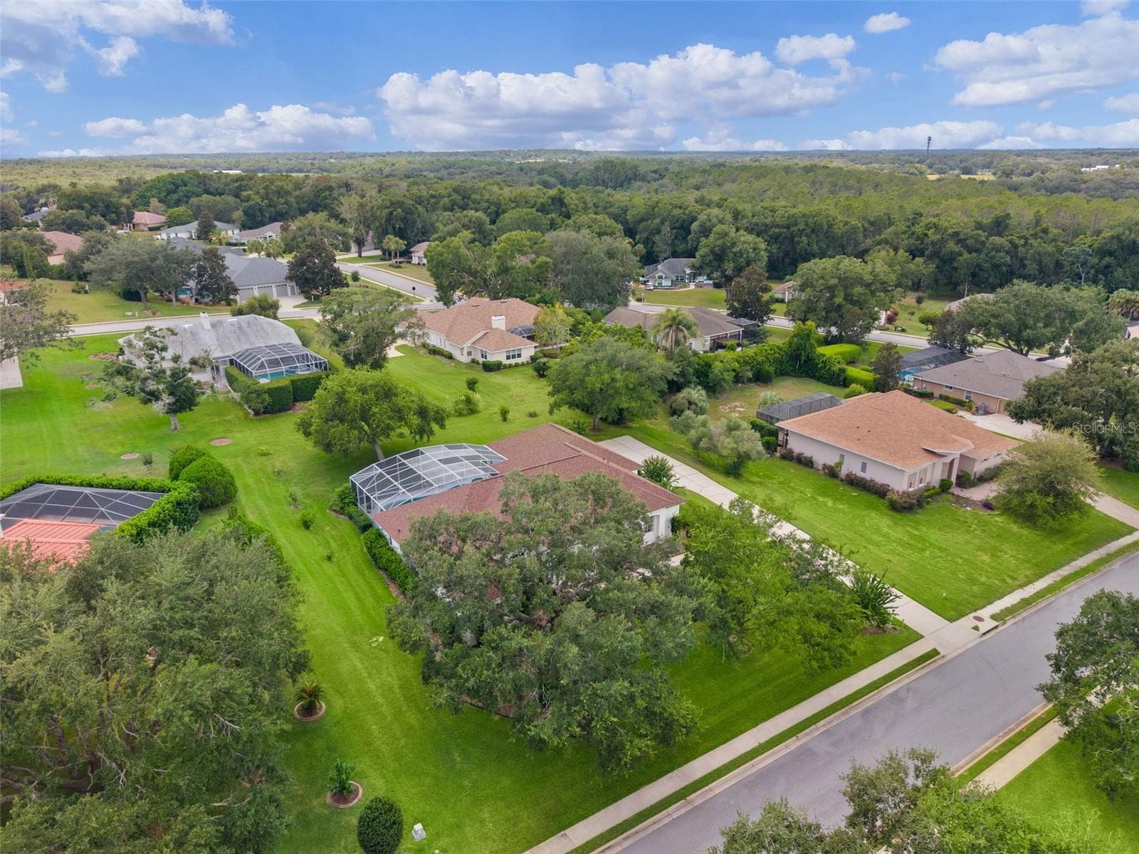 Front Overhead - 39407 TREELINE DR, LADY LAKE