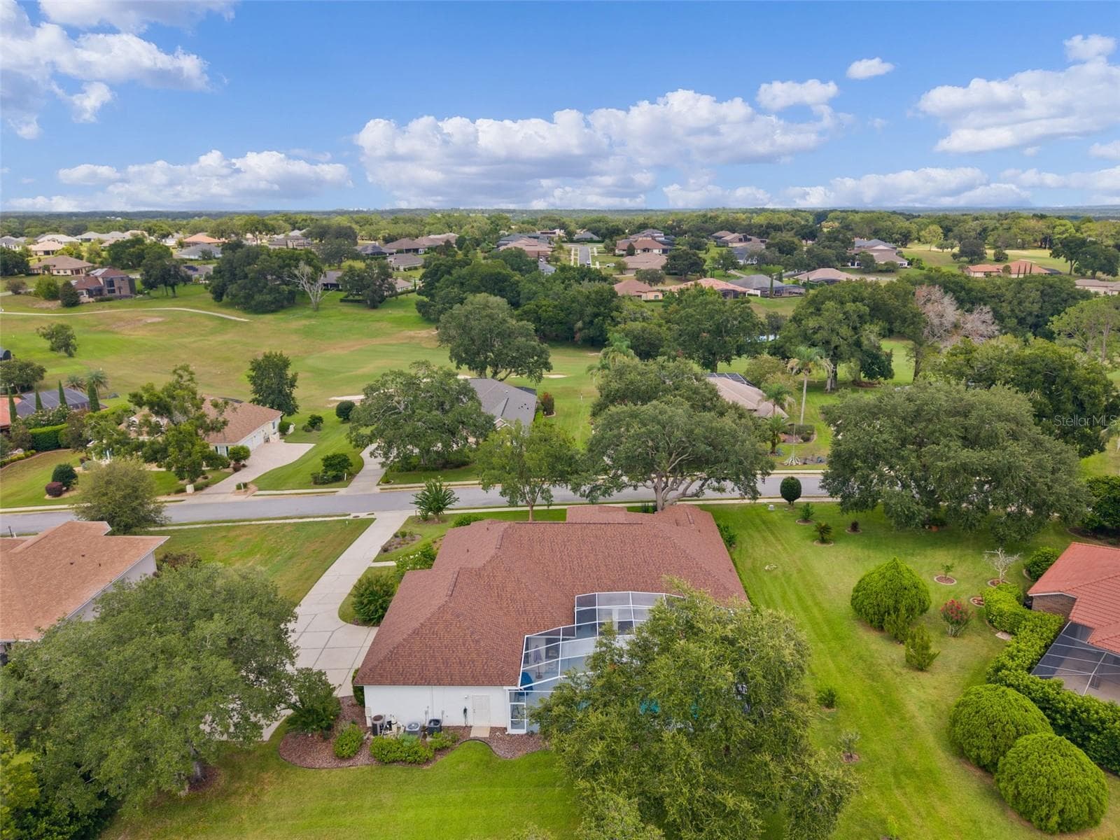 Rear Overhead - 39407 TREELINE DR, LADY LAKE