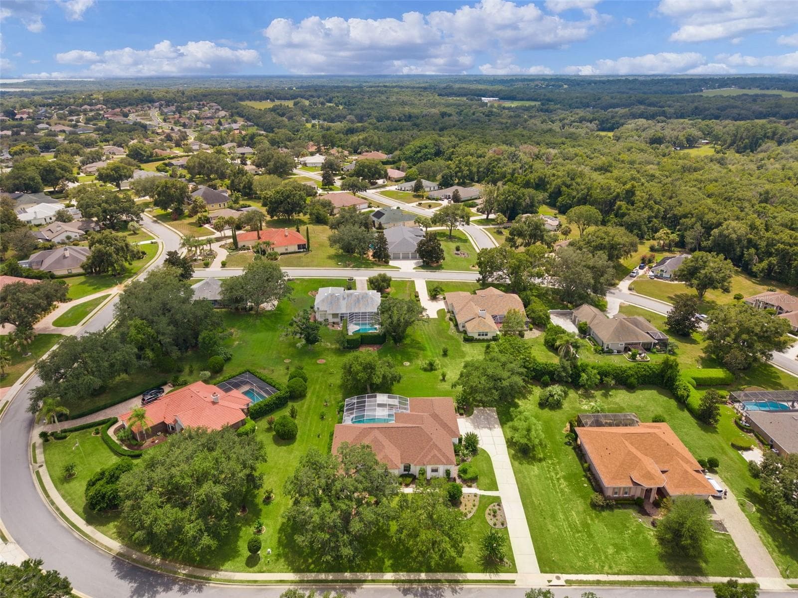 Front Overhead - 39407 TREELINE DR, LADY LAKE