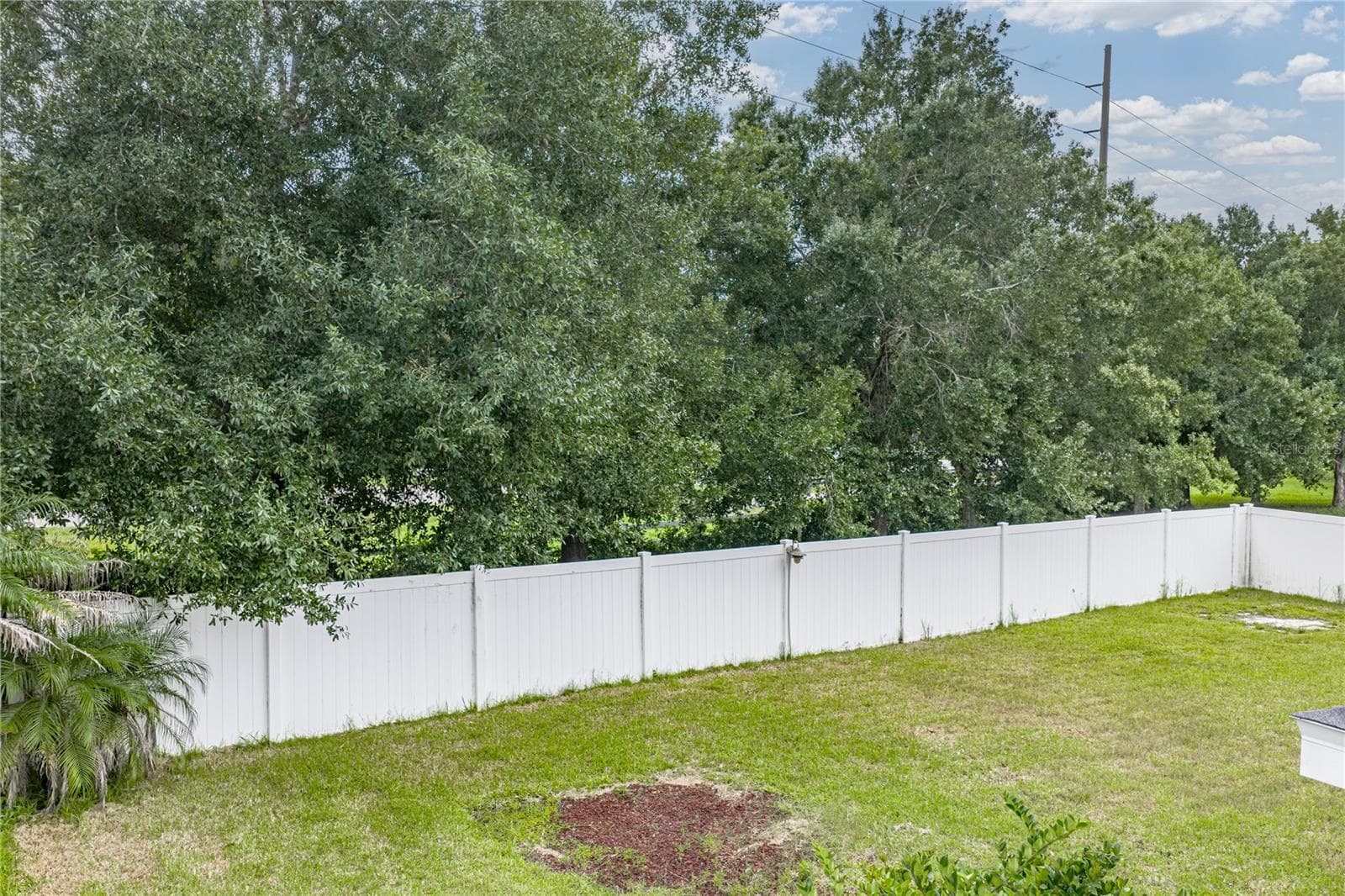 Single Family Residence at 34455 CLIFFCREEK CT, WESLEY CHAPEL, photo 61 of 62