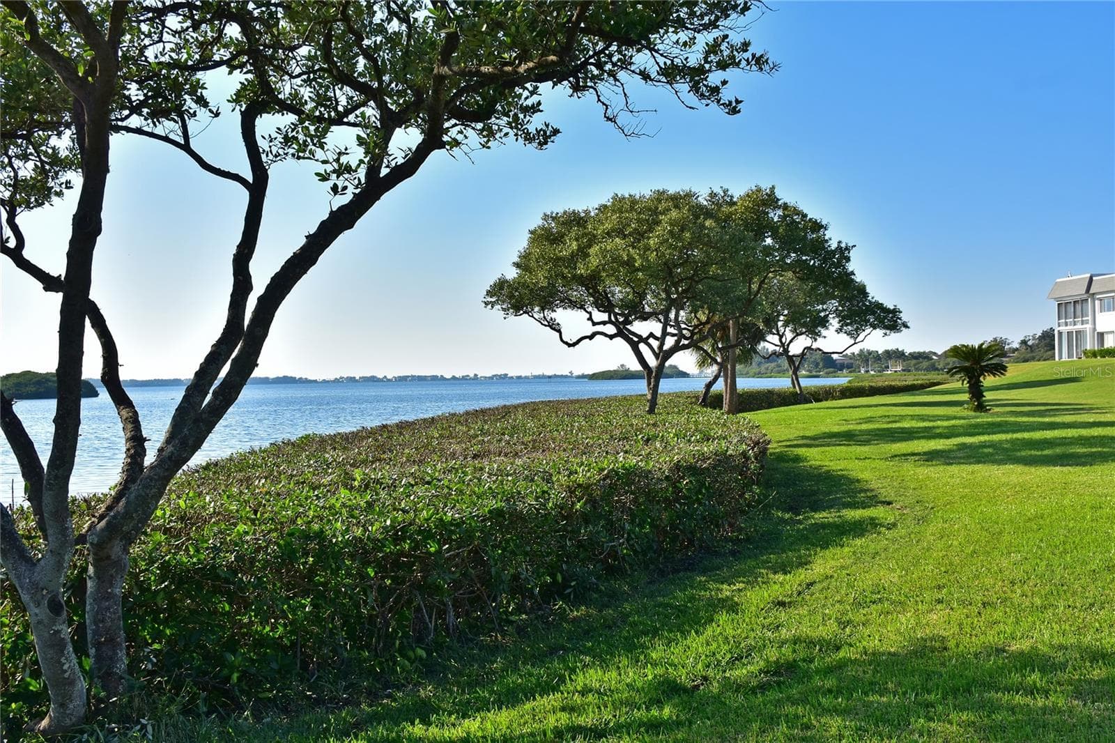 Mt Vernon Sarasota Bay shoreline - 9406 ANDOVER CIR, BRADENTON