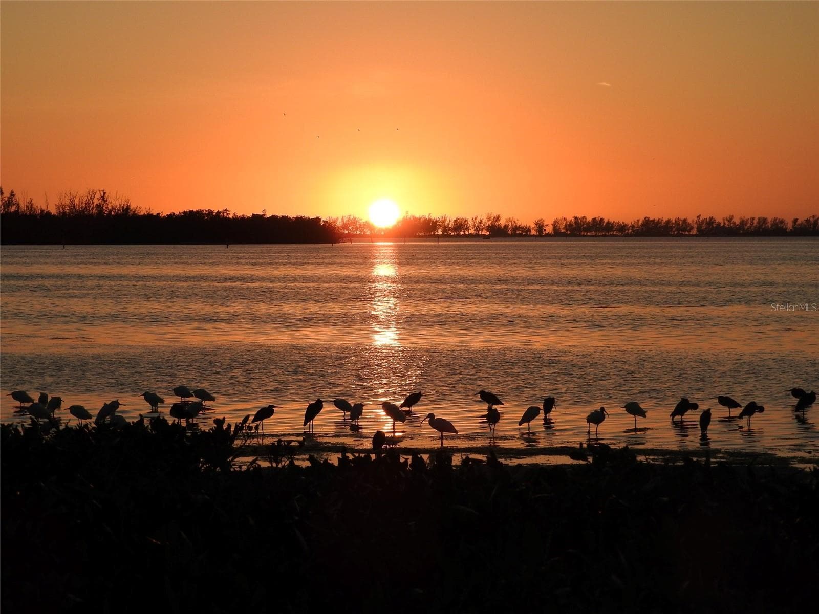 Mt Vernon shoreline sunset - 9406 ANDOVER CIR, BRADENTON