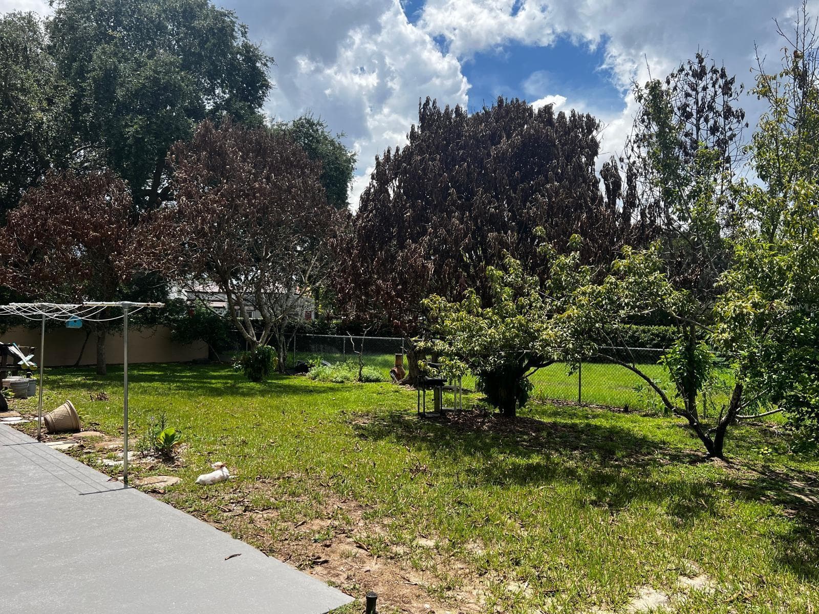 Single Family Residence at 7804 SNOWBERRY CIR, ORLANDO, photo 13 of 14