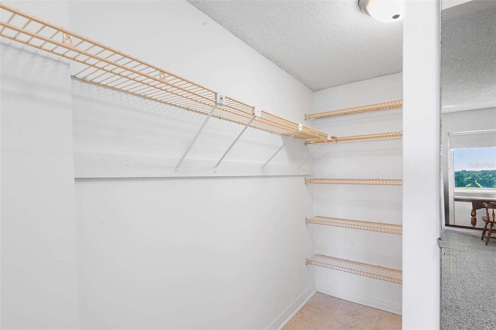 Primary walk in closet - 1776 6TH ST NW #409, WINTER HAVEN