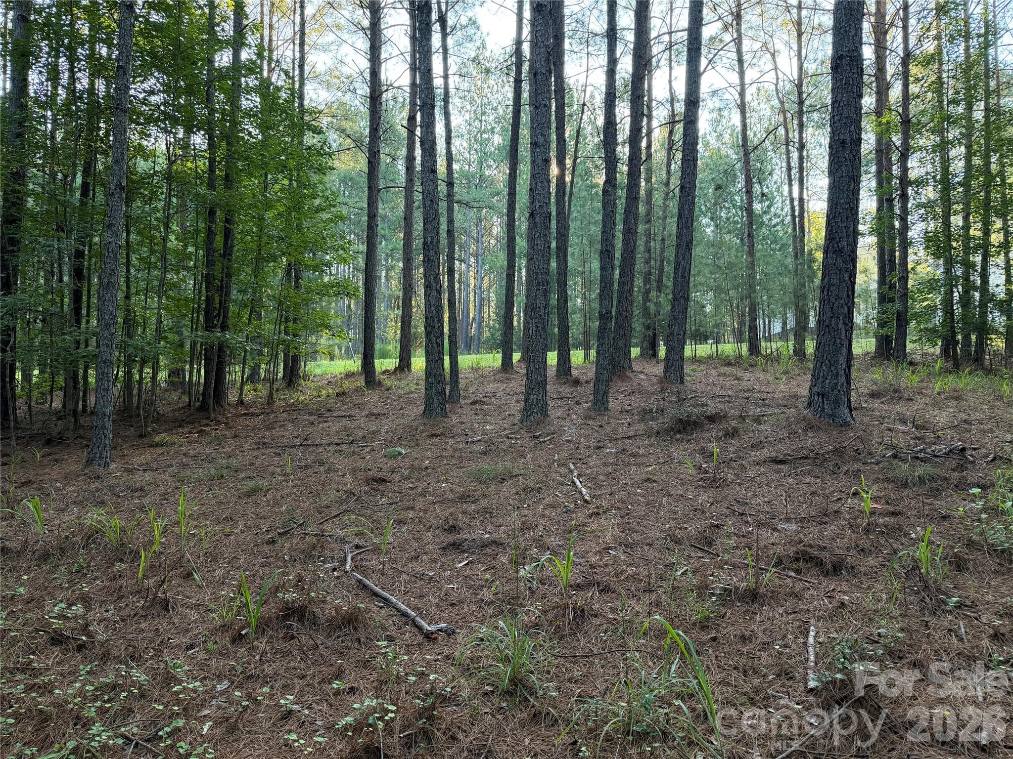 108 Whispering Pines Lane