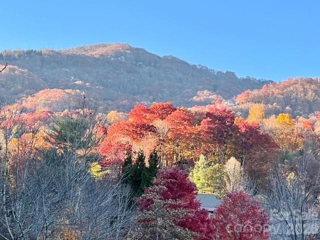 Single Family Residence at Maggie Valley, photo 3 of 45