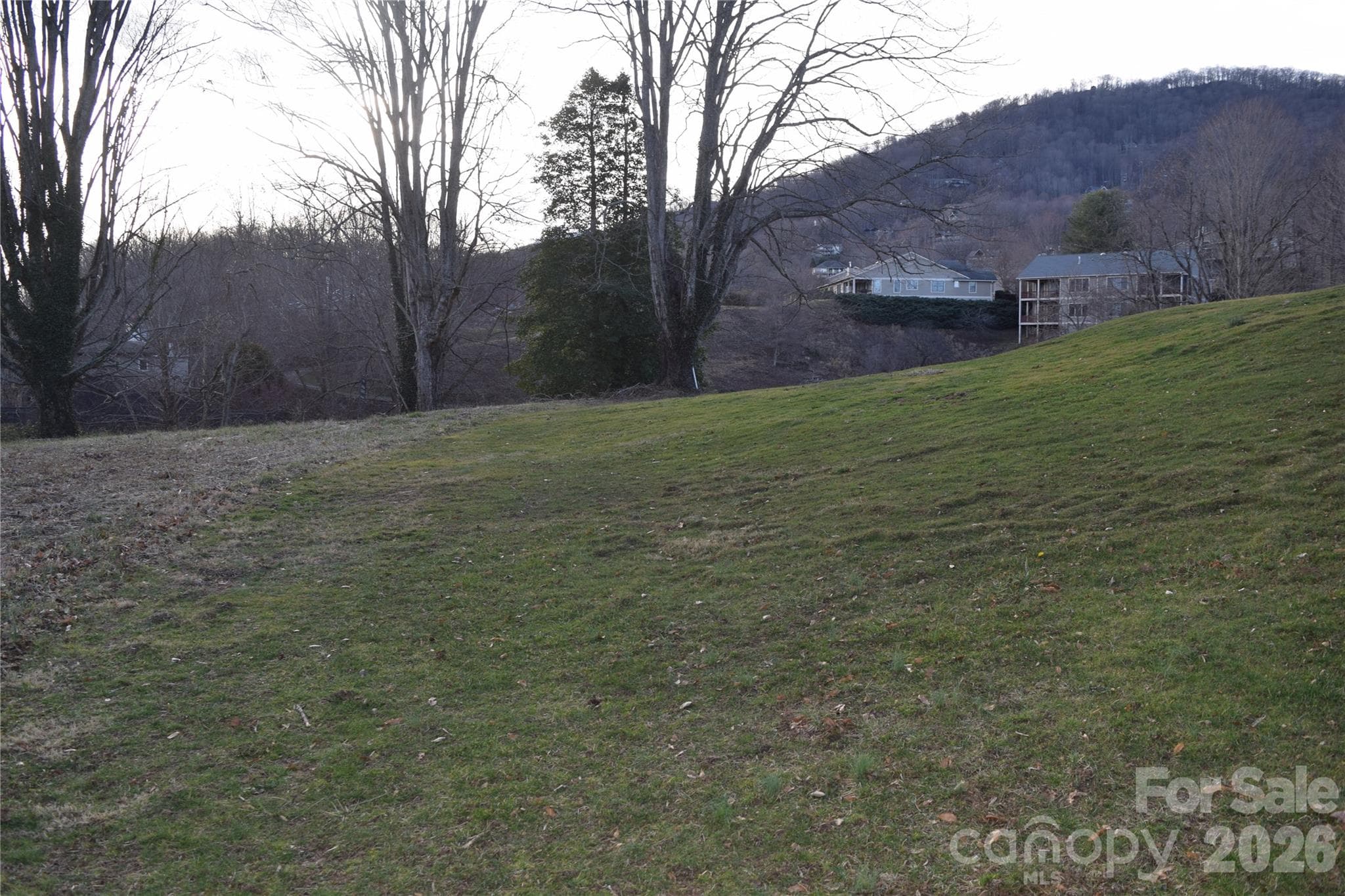 Lot at Waynesville, photo 2 of 6