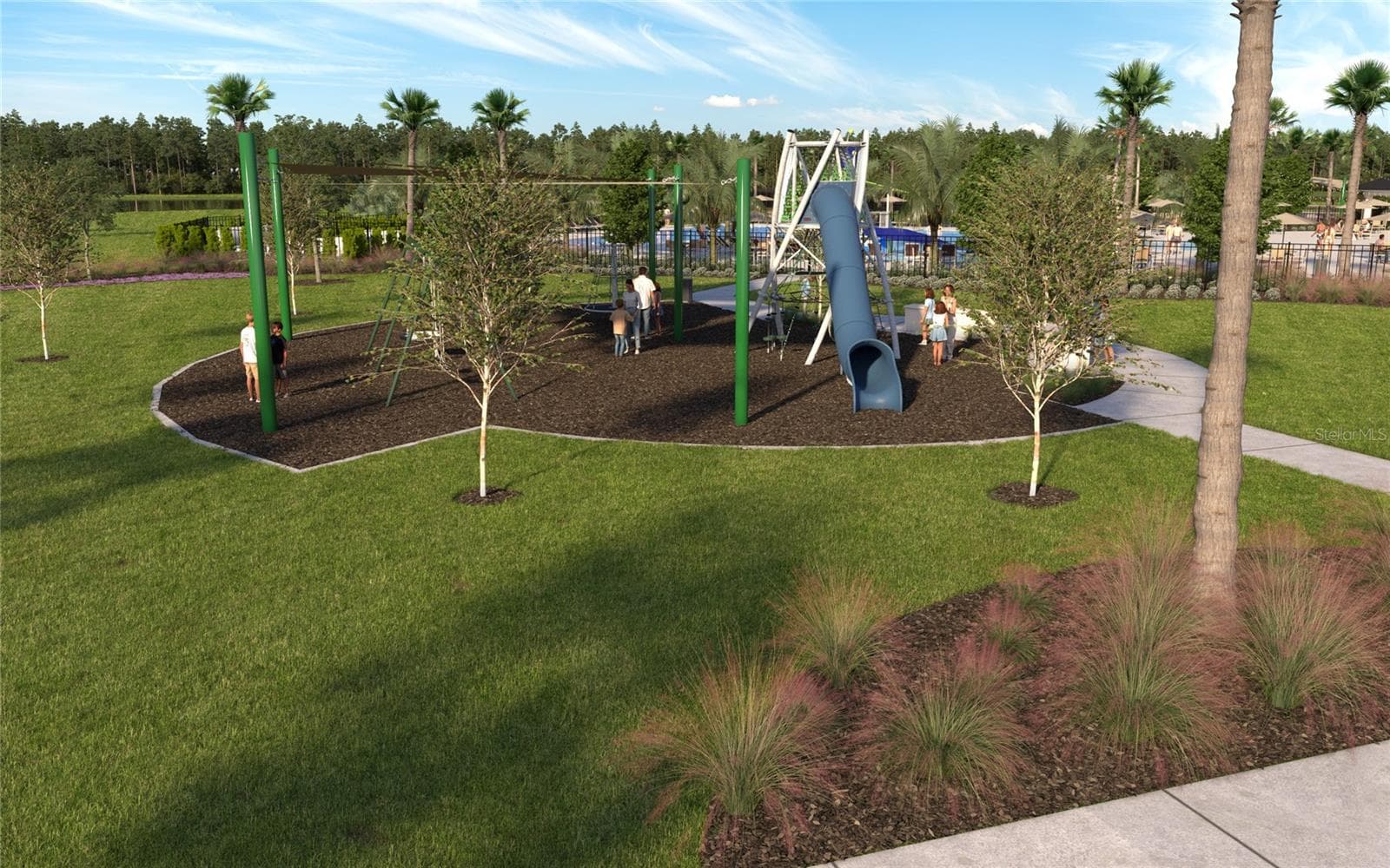 Amenities Rendering - 34890 FLOWER PATCH DR, DADE CITY