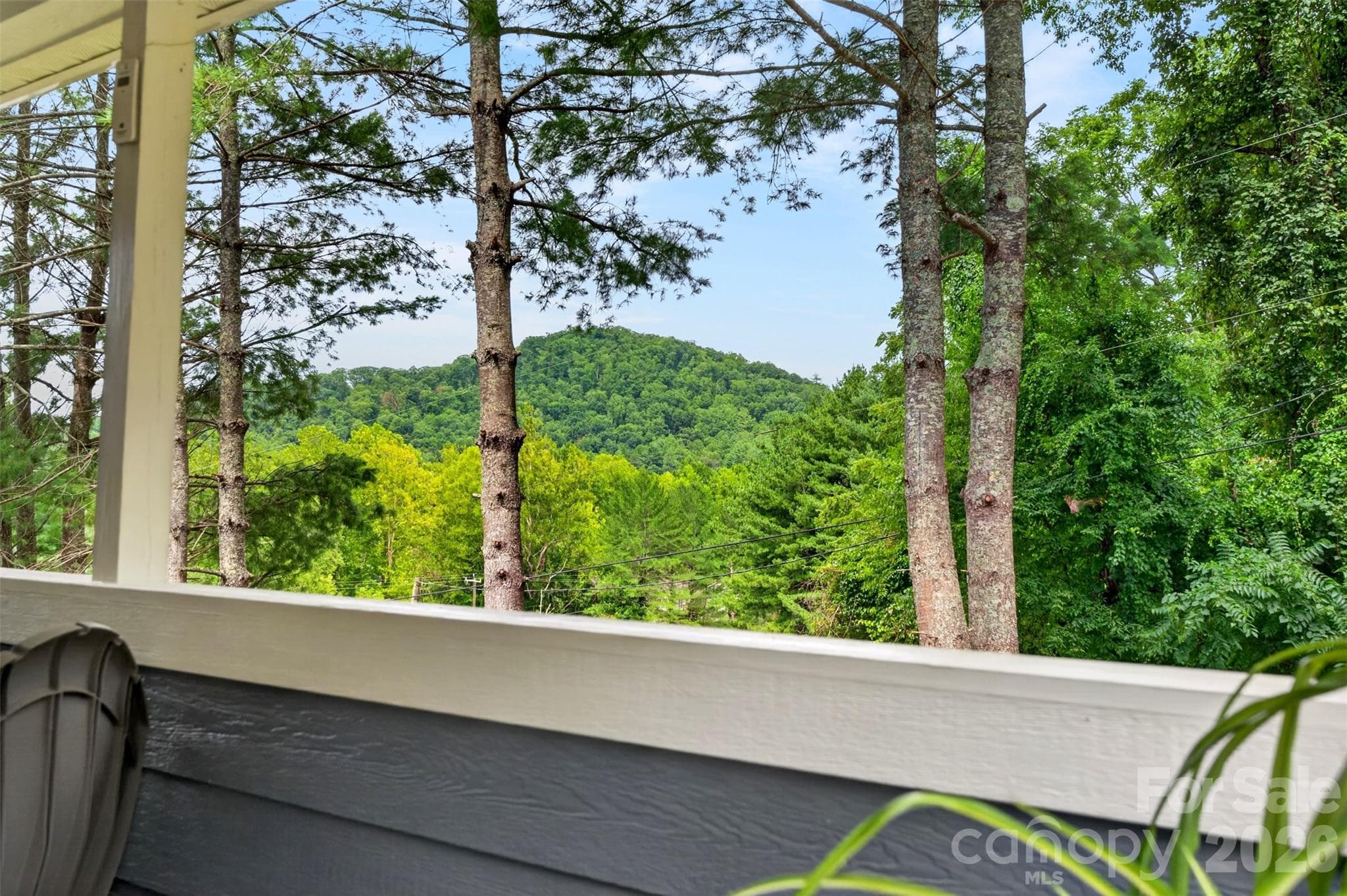 Beautiful back deck with Mountain Views! - 310 Magnolia Ridge Road, Swannanoa