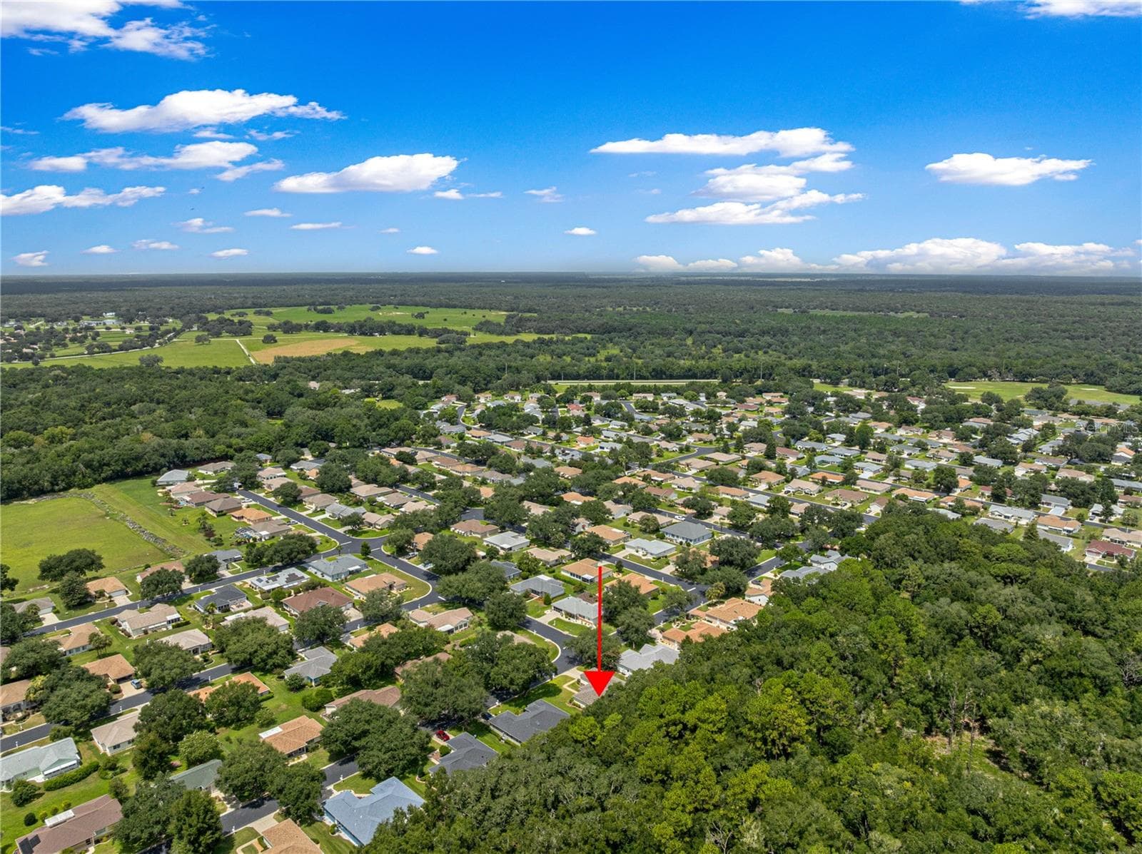 Single Family Residence at 14366 SW 115TH CIR, DUNNELLON, photo 12 of 63