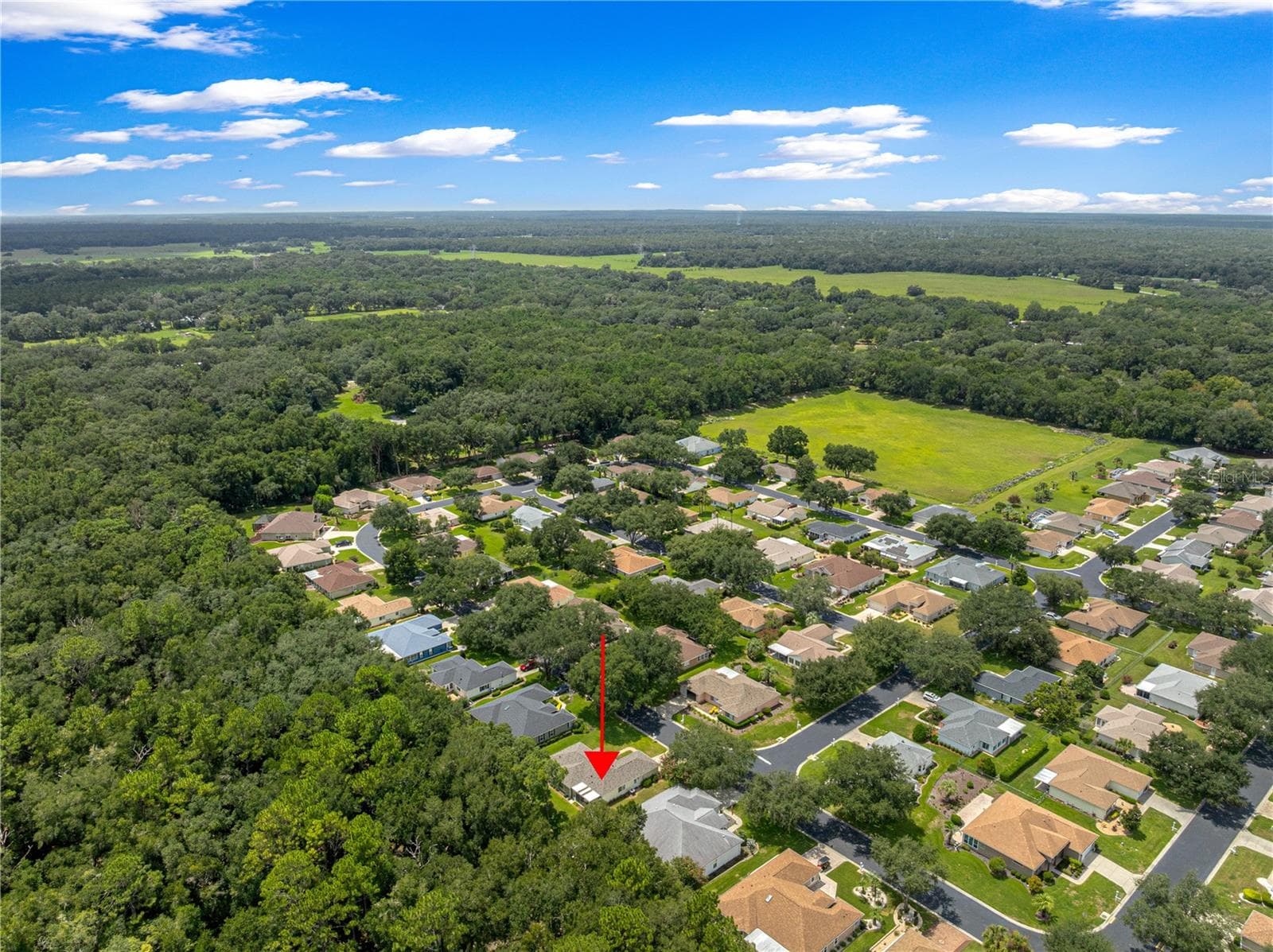 Single Family Residence at 14366 SW 115TH CIR, DUNNELLON, photo 54 of 63