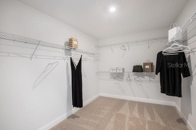 Model home - actual features may vary. - 3418 MONARCH WAY, GREEN COVE SPRINGS