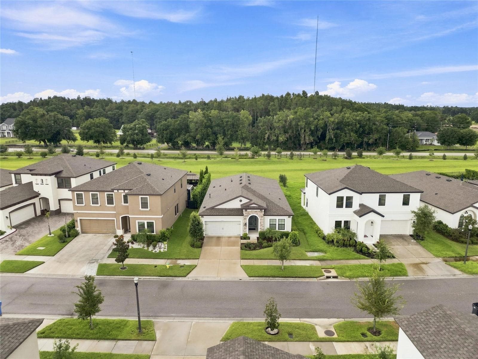 Single Family Residence at 12635 SHETLAND WALK DR, LITHIA, photo 4 of 57