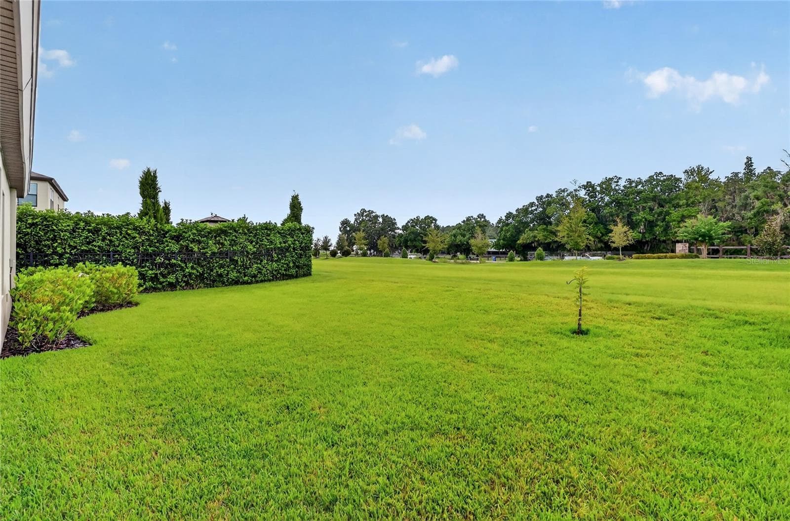 Single Family Residence at 12635 SHETLAND WALK DR, LITHIA, photo 52 of 57
