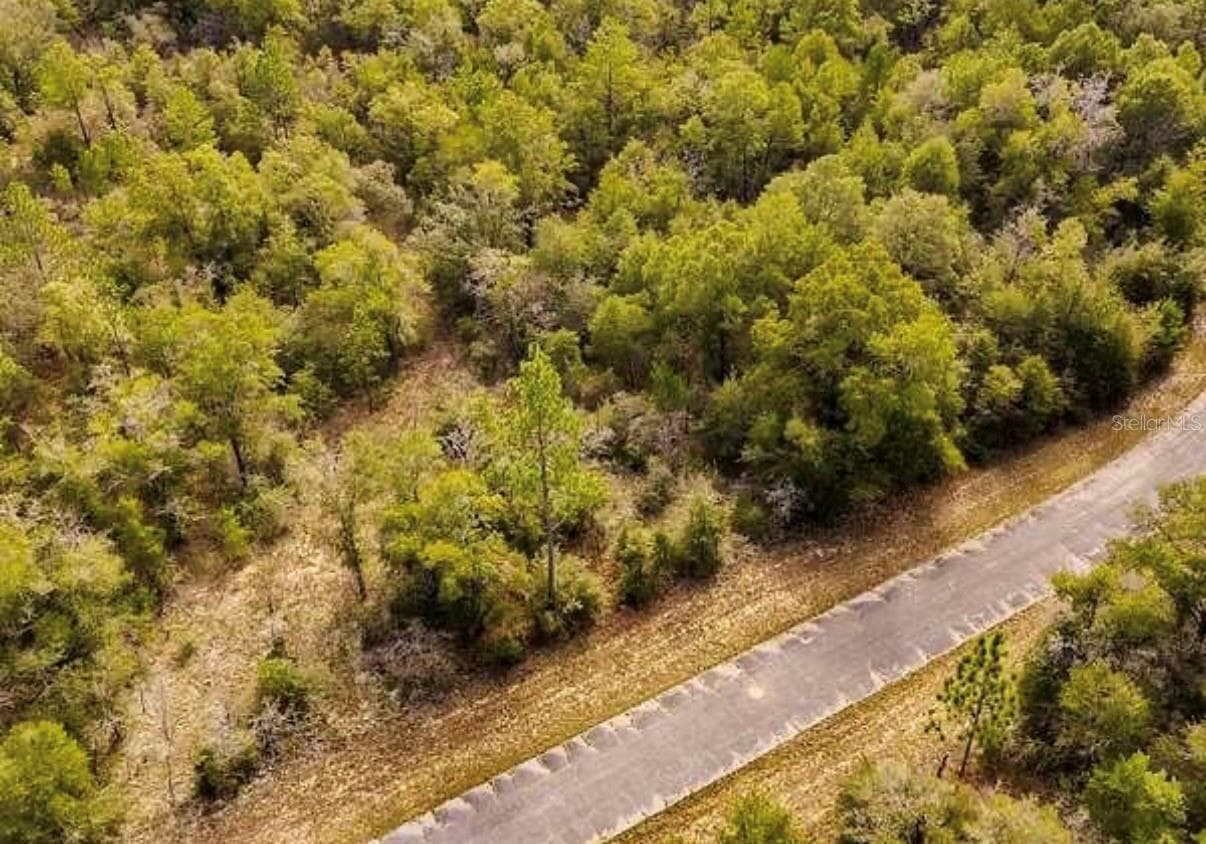 LOT# 42 DANDELION DR