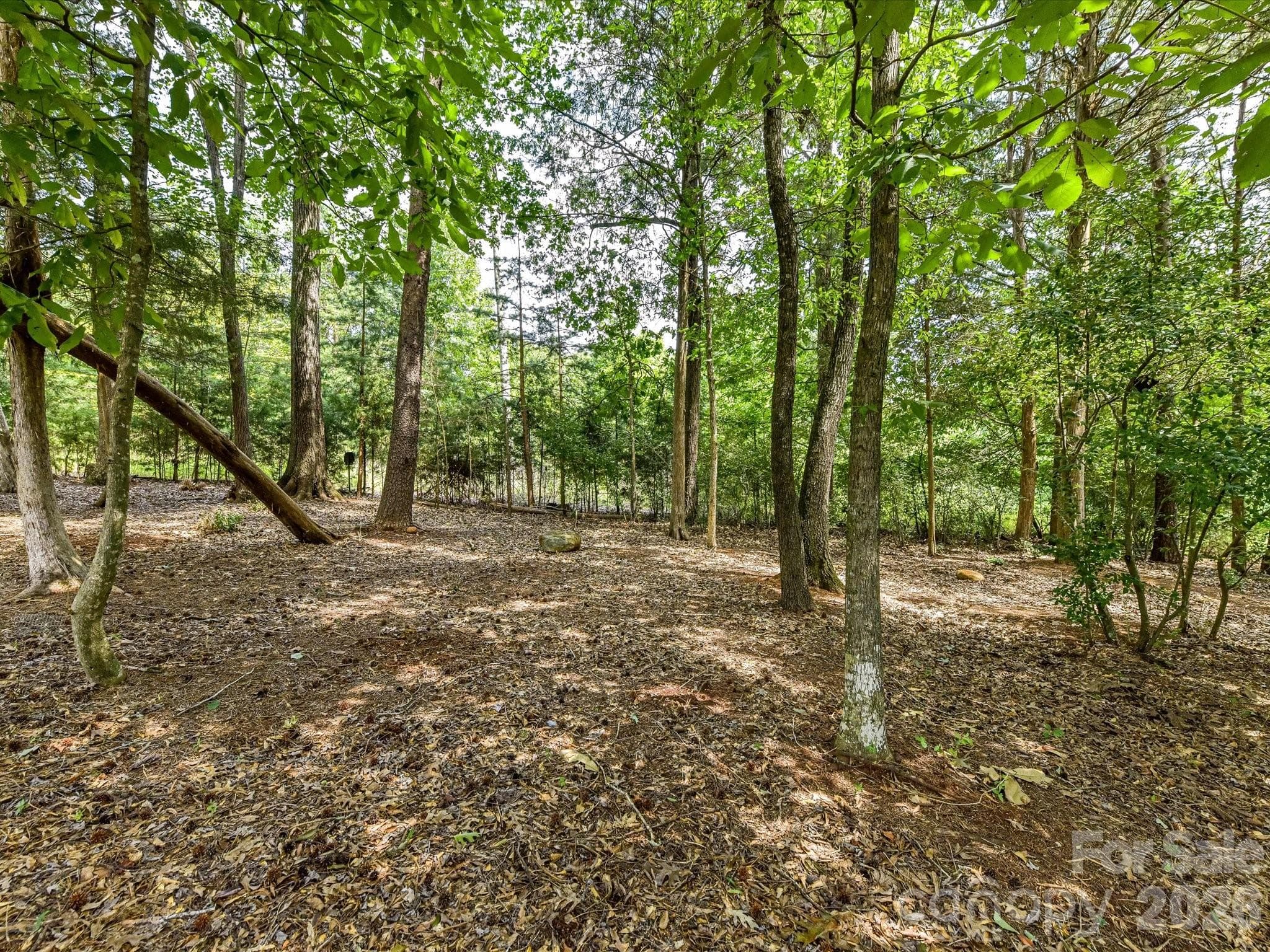 The protected natural area behind the property gives the property great privacy in the rear. - 12323 Cherrybark Lane, Charlotte