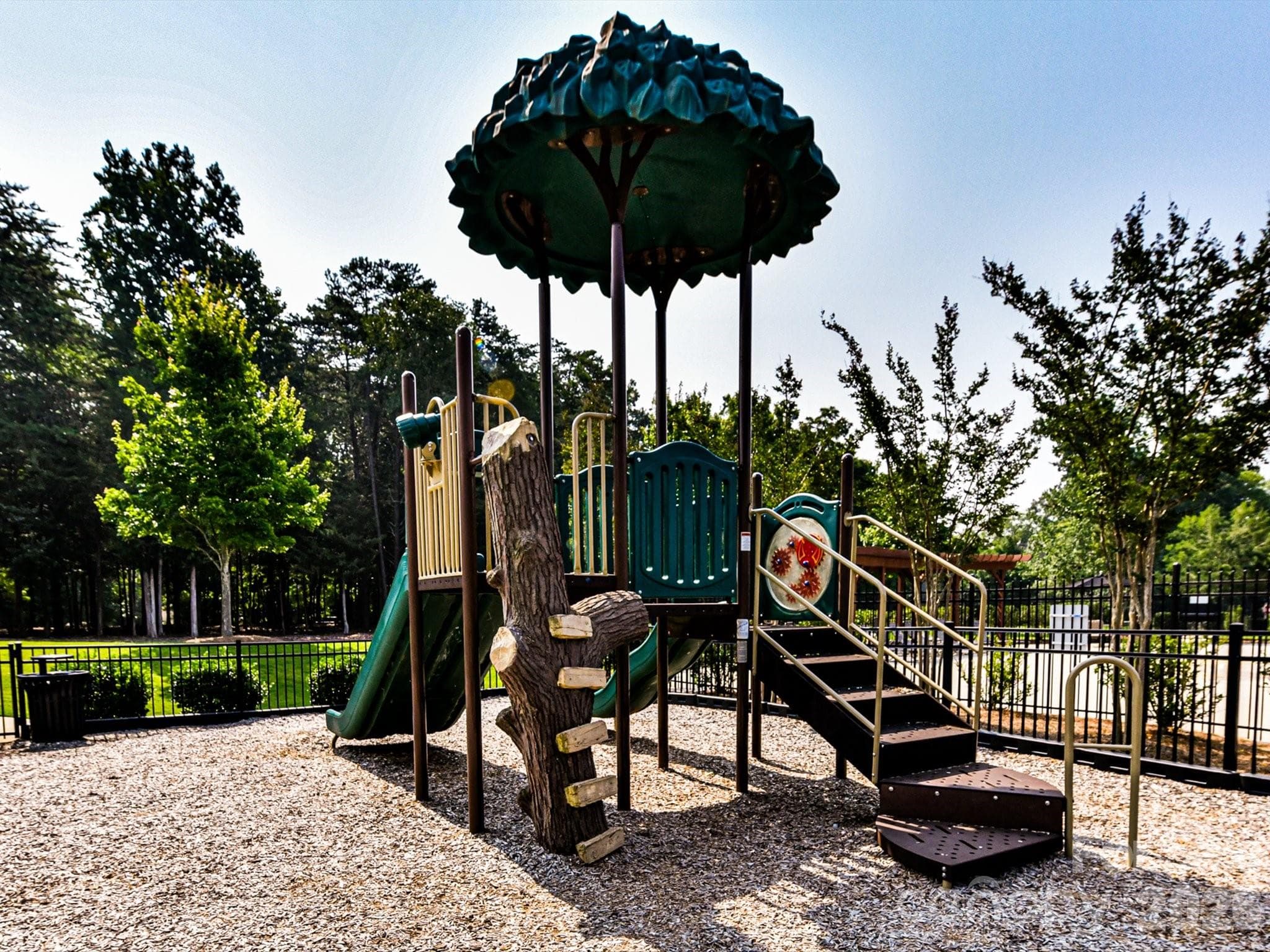 Community Playground. - 12323 Cherrybark Lane, Charlotte