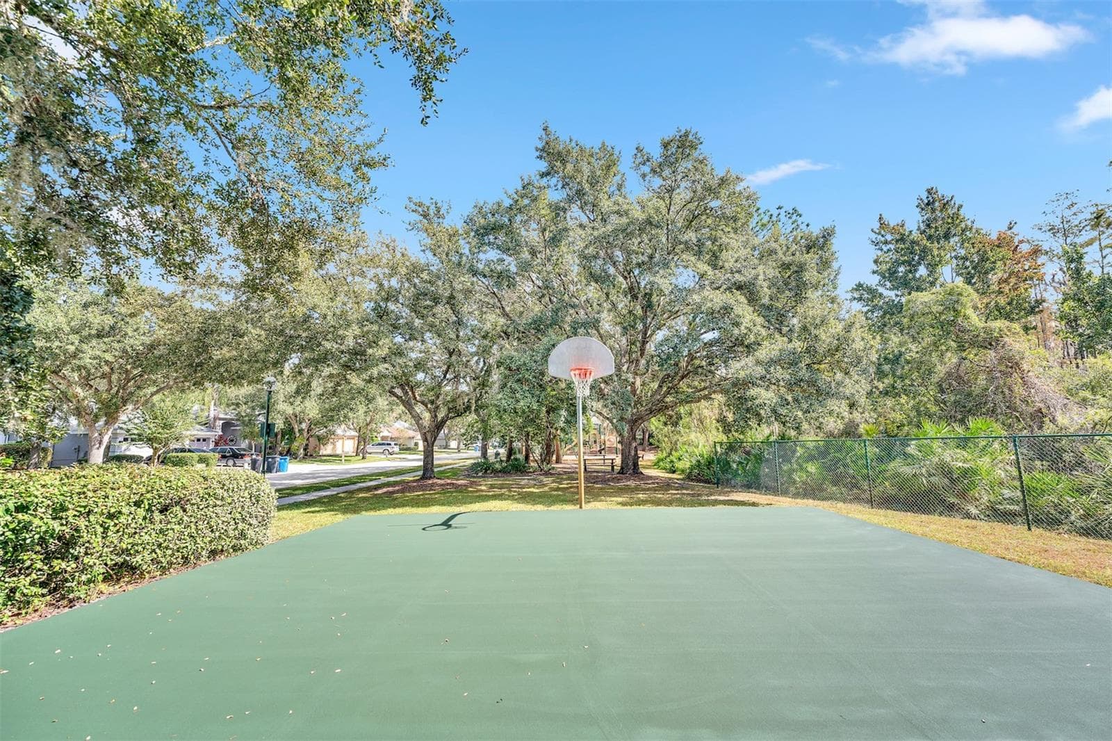 Single Family Residence at ARBOR GREENE PH 2 UNIT 3, TAMPA, photo 42 of 45