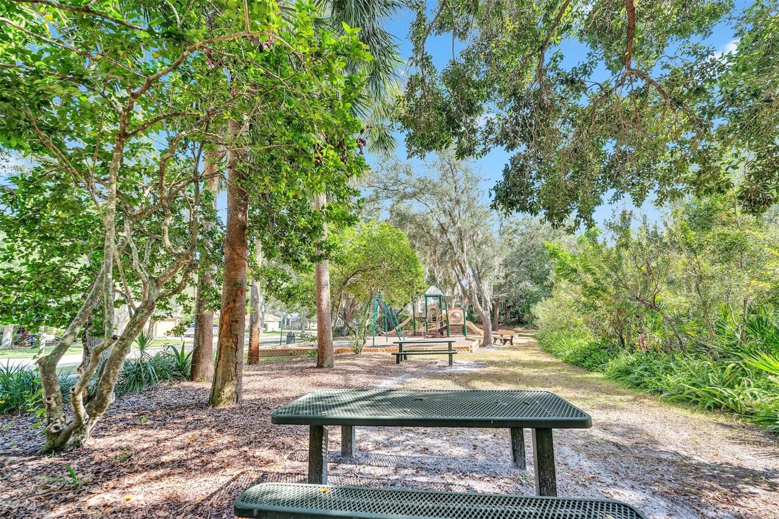 Single Family Residence at ARBOR GREENE PH 2 UNIT 3, TAMPA, photo 45 of 45
