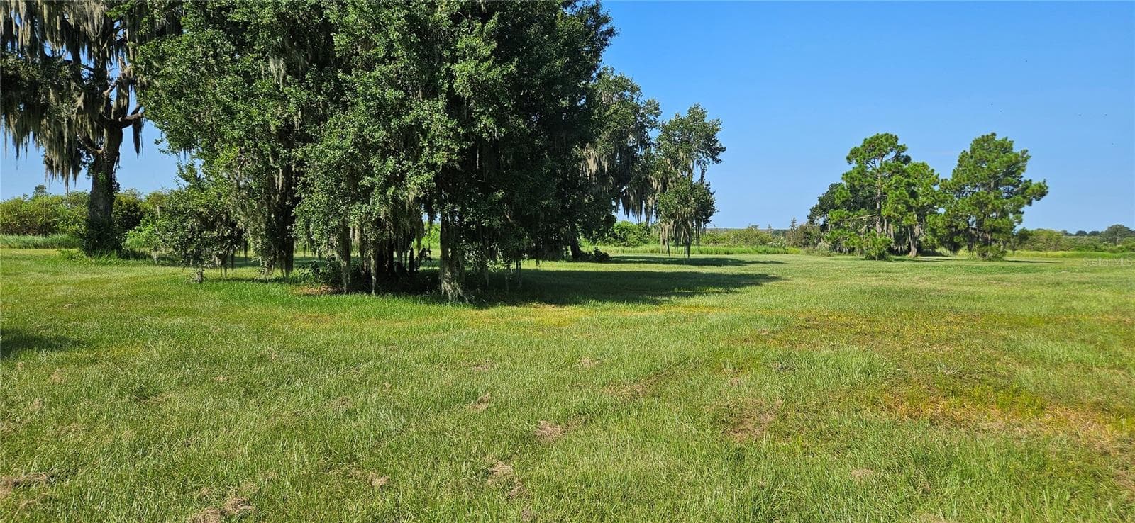 Land at 691 S LAKE PATRICK RD, FROSTPROOF, photo 9 of 22