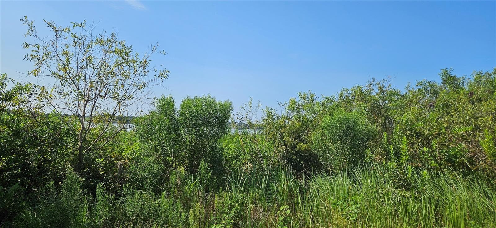Land at 691 S LAKE PATRICK RD, FROSTPROOF, photo 11 of 22