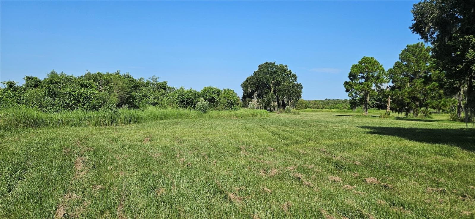 Land at 691 S LAKE PATRICK RD, FROSTPROOF, photo 12 of 22