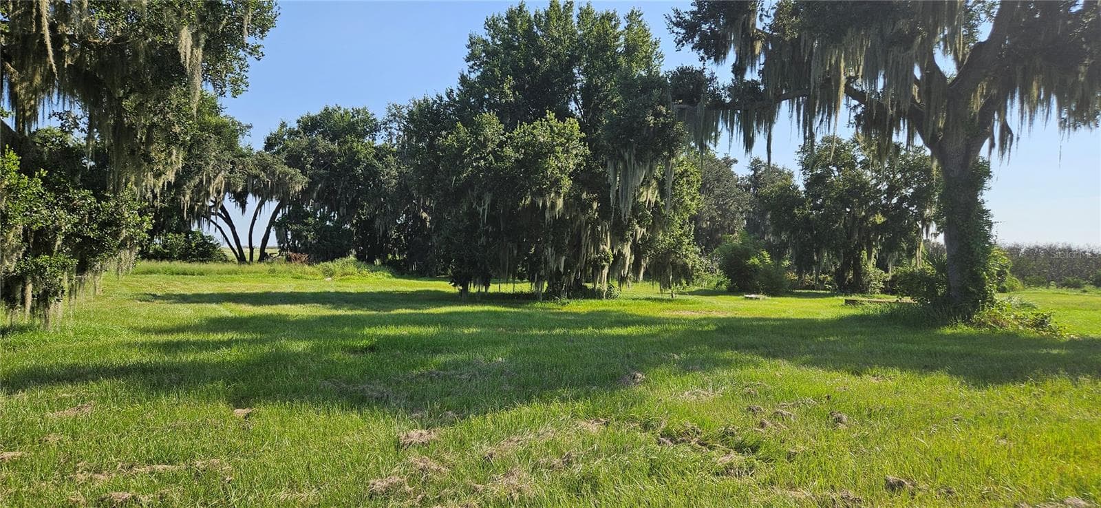 Land at 691 S LAKE PATRICK RD, FROSTPROOF, photo 13 of 22