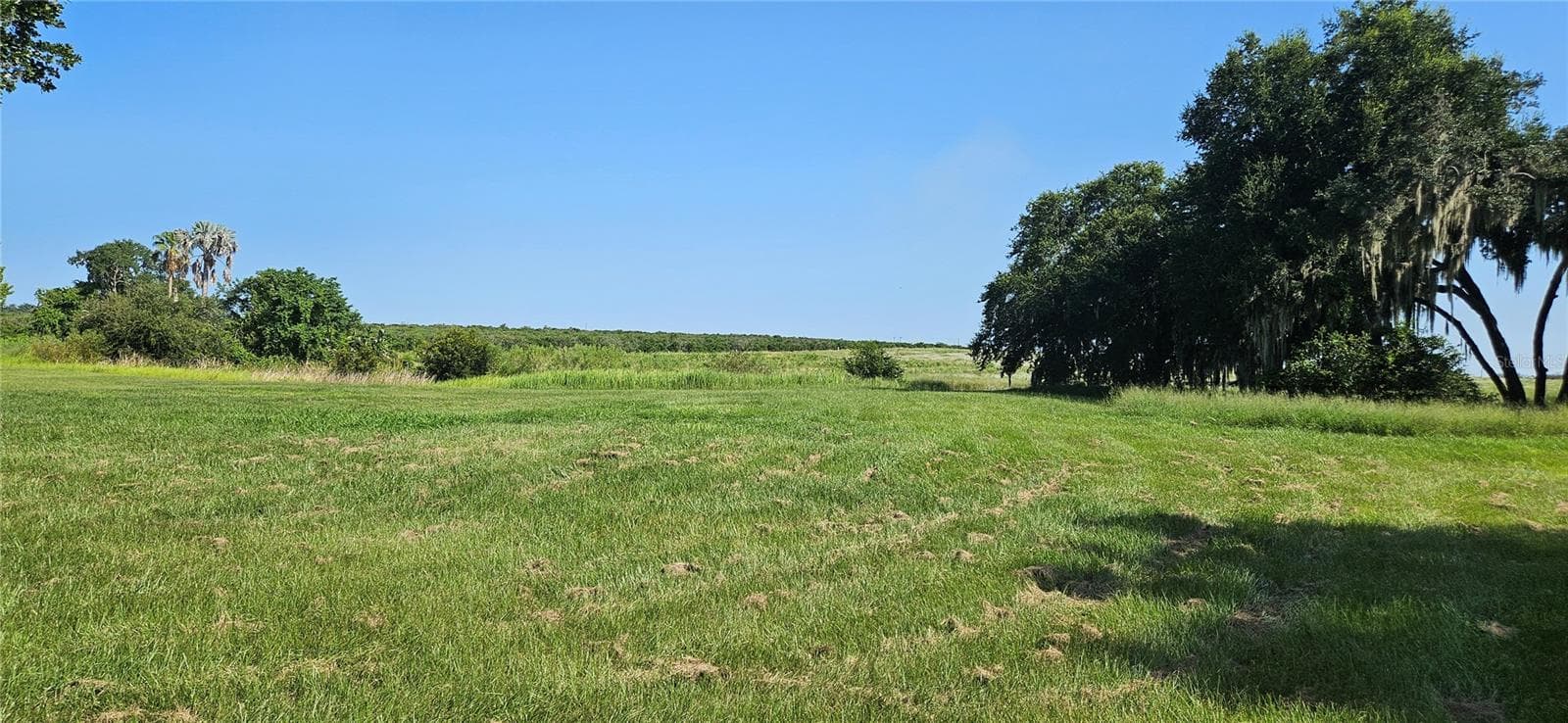 Land at 691 S LAKE PATRICK RD, FROSTPROOF, photo 14 of 22