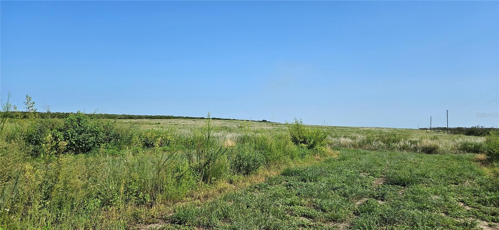 Land at 691 S LAKE PATRICK RD, FROSTPROOF, photo 18 of 22