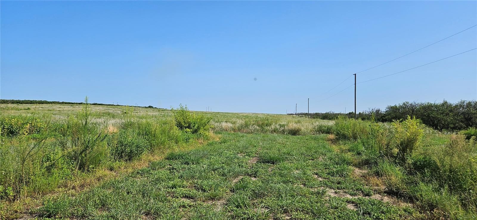 Land at 691 S LAKE PATRICK RD, FROSTPROOF, photo 19 of 22