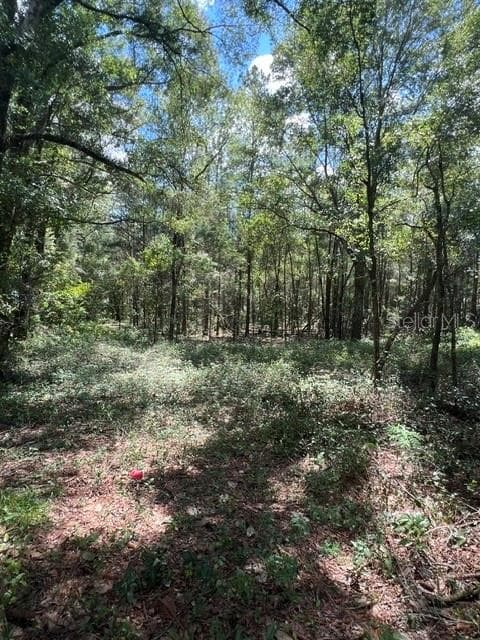 16958 NW US HWY 441 HWY NW