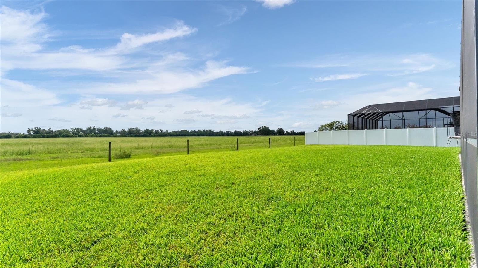 Backyard - 7034 BENTRIDGE DR, LAKELAND