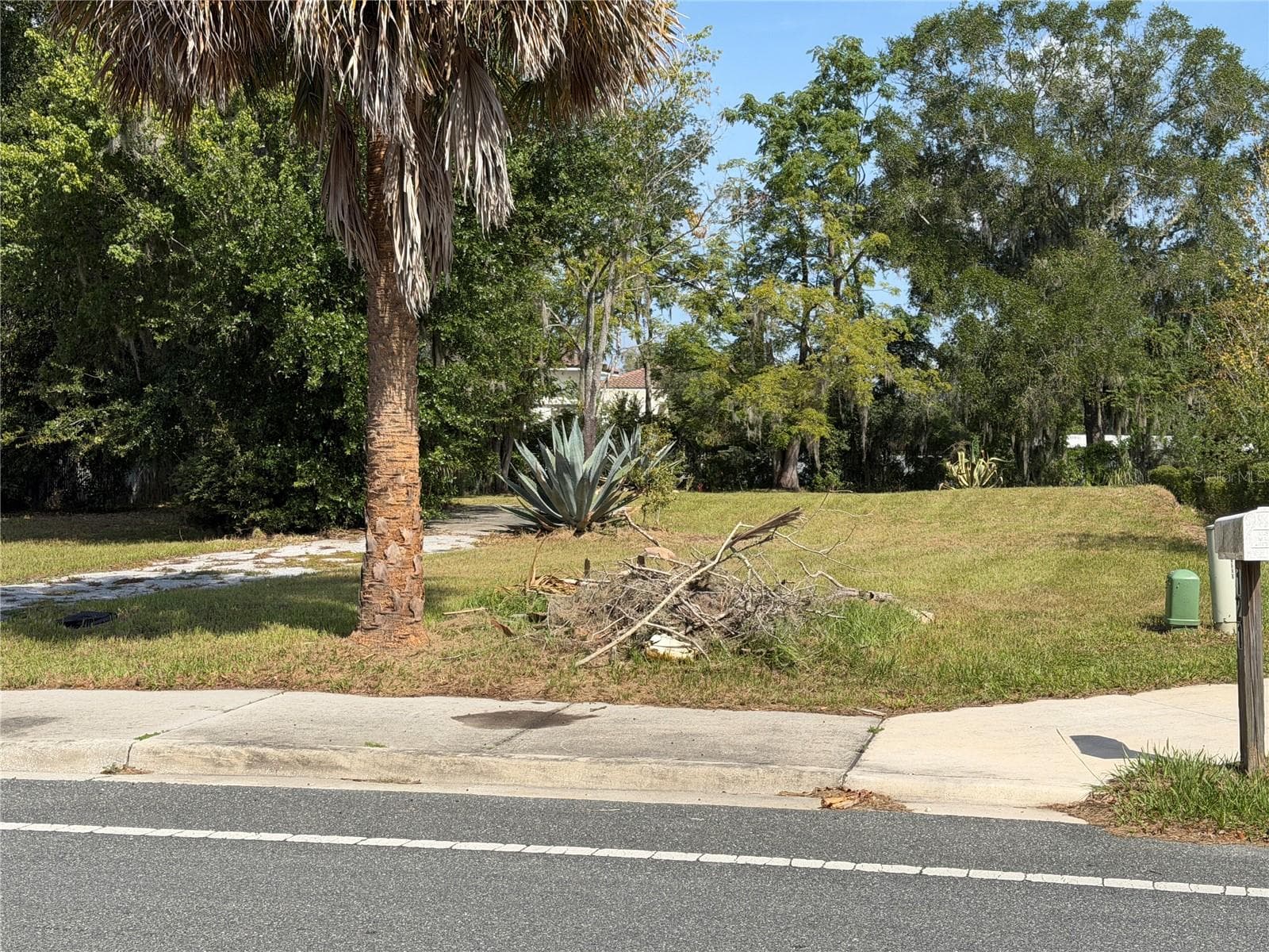 Land at 121 W LEMON ST, LADY LAKE, photo 2 of 10