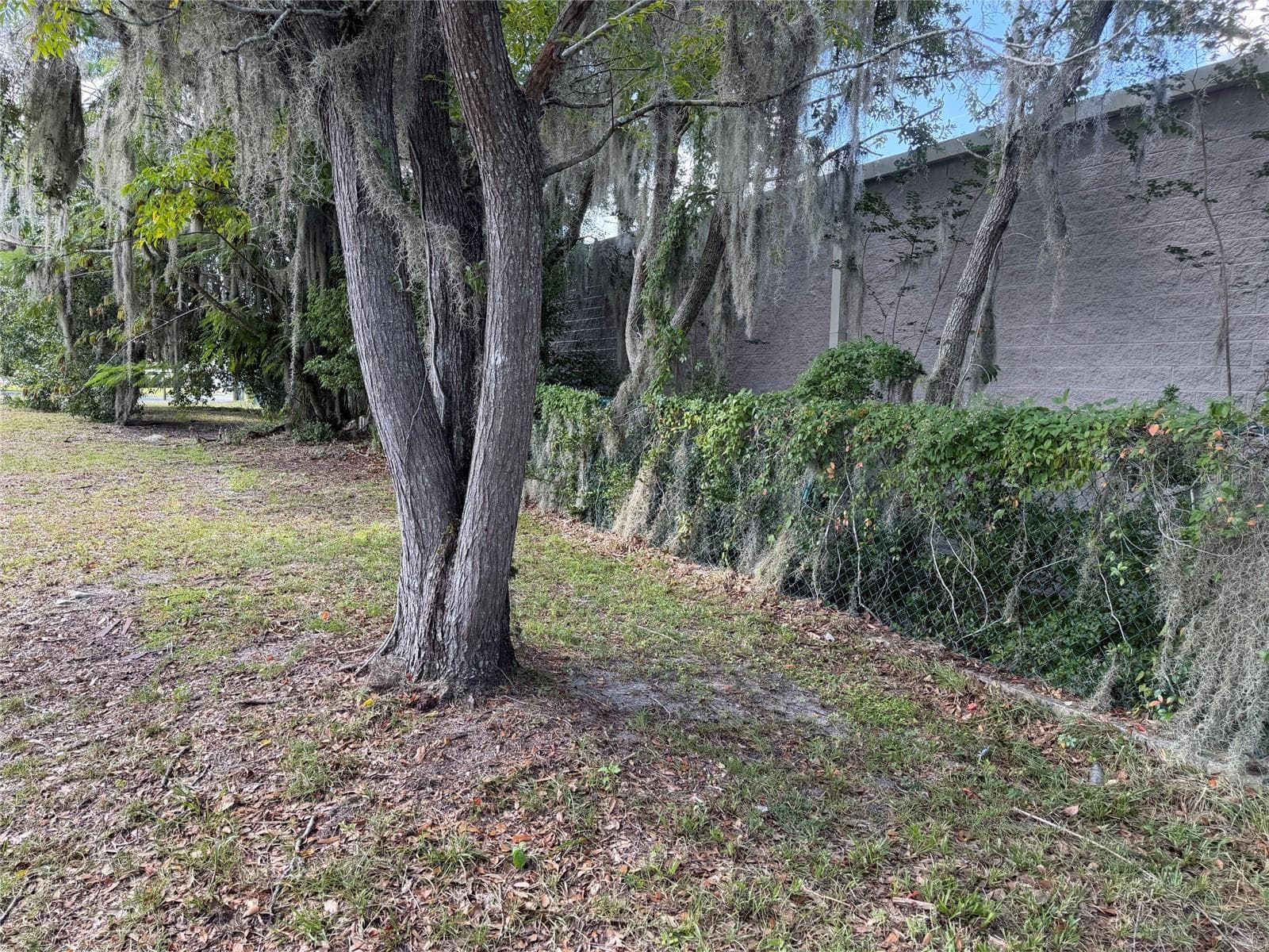Land at 121 W LEMON ST, LADY LAKE, photo 5 of 10