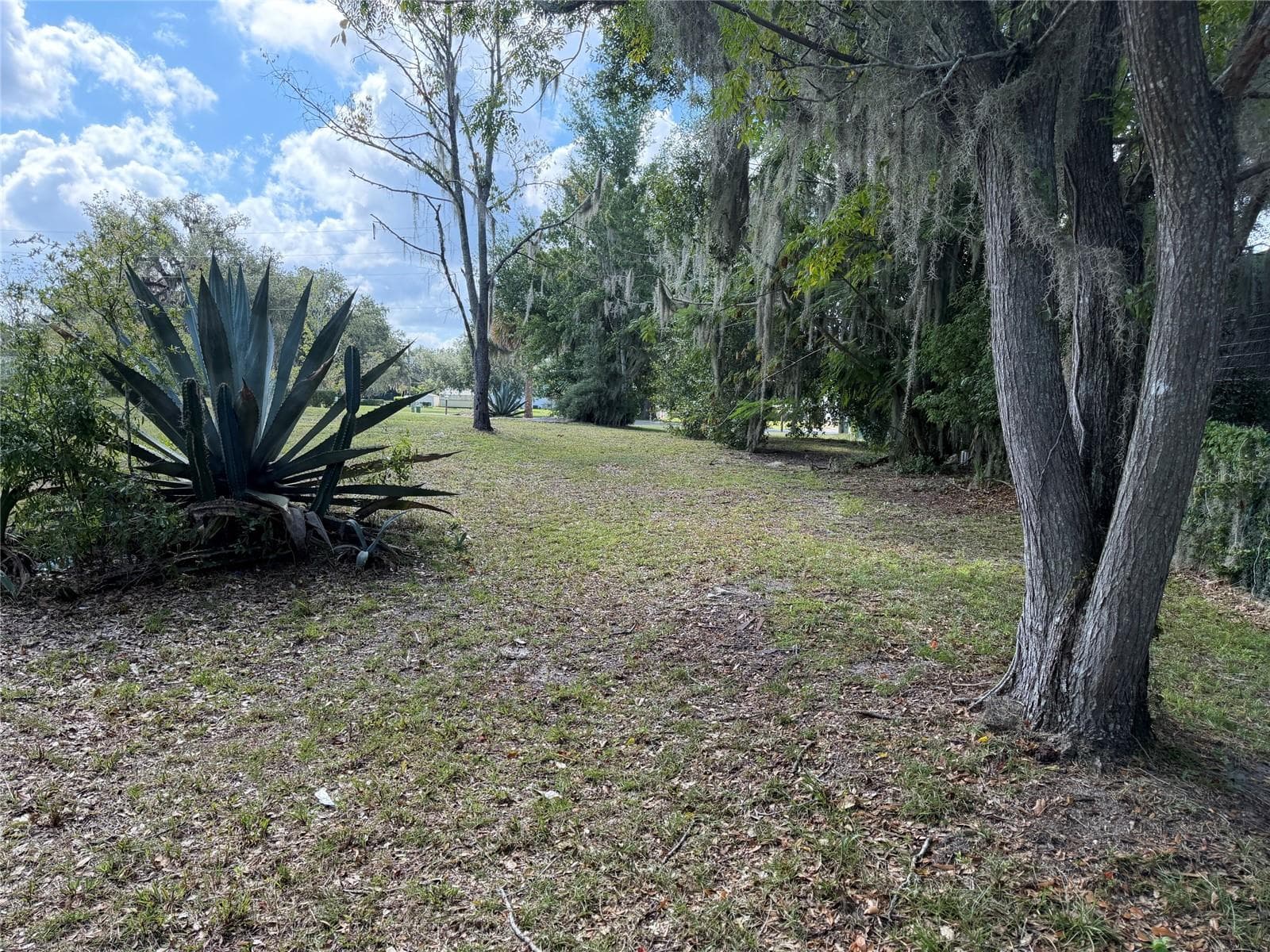 Land at 121 W LEMON ST, LADY LAKE, photo 6 of 10