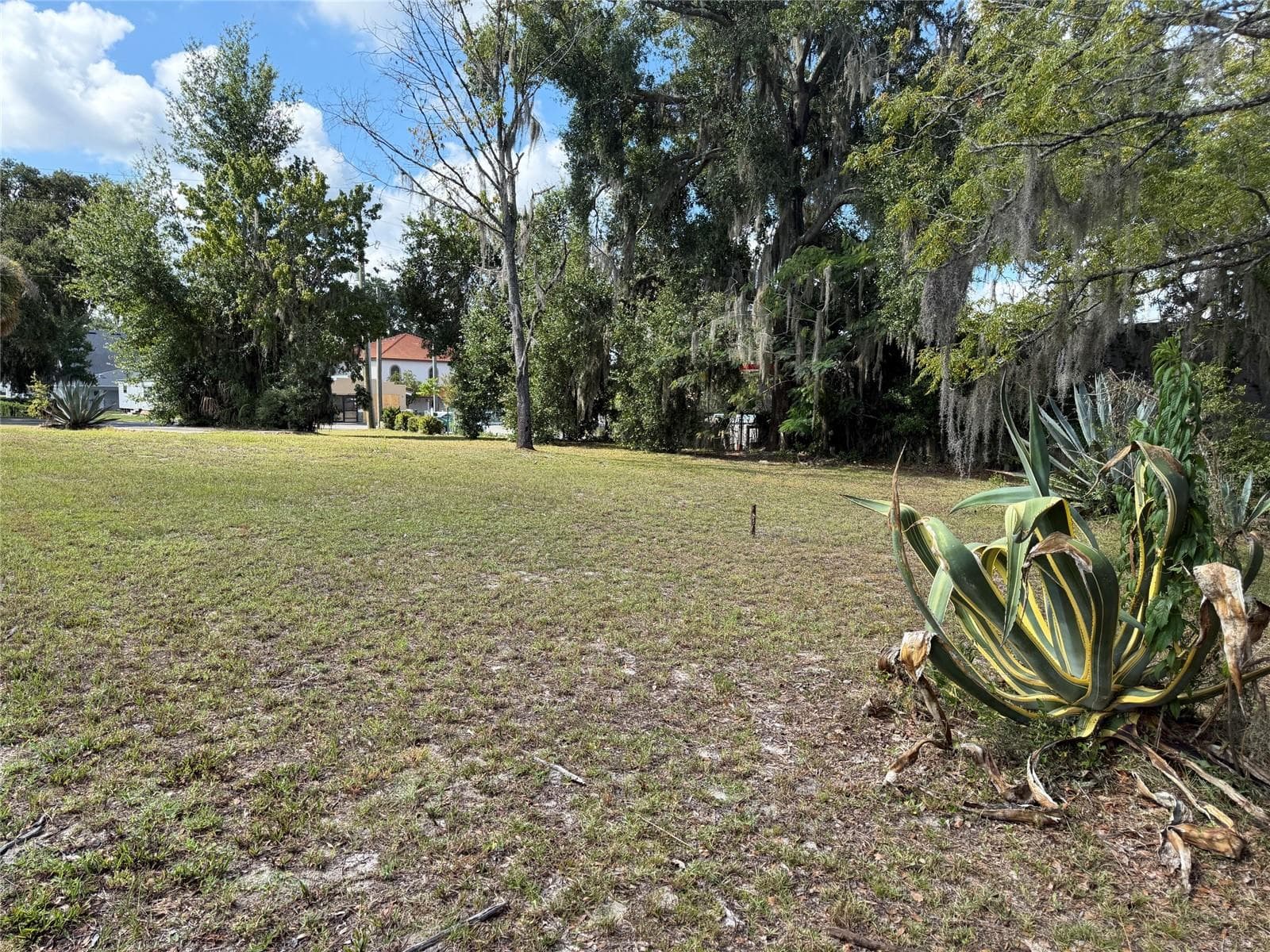 Land at 121 W LEMON ST, LADY LAKE, photo 8 of 10