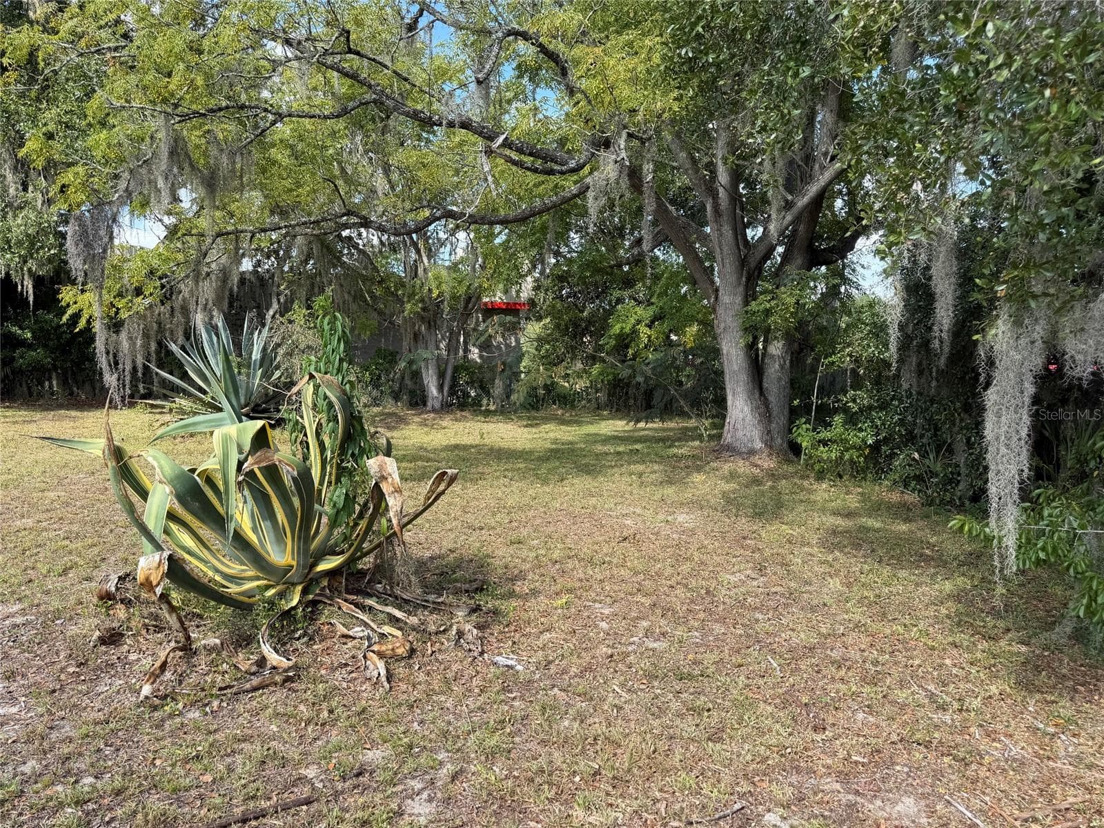 Land at 121 W LEMON ST, LADY LAKE, photo 9 of 10