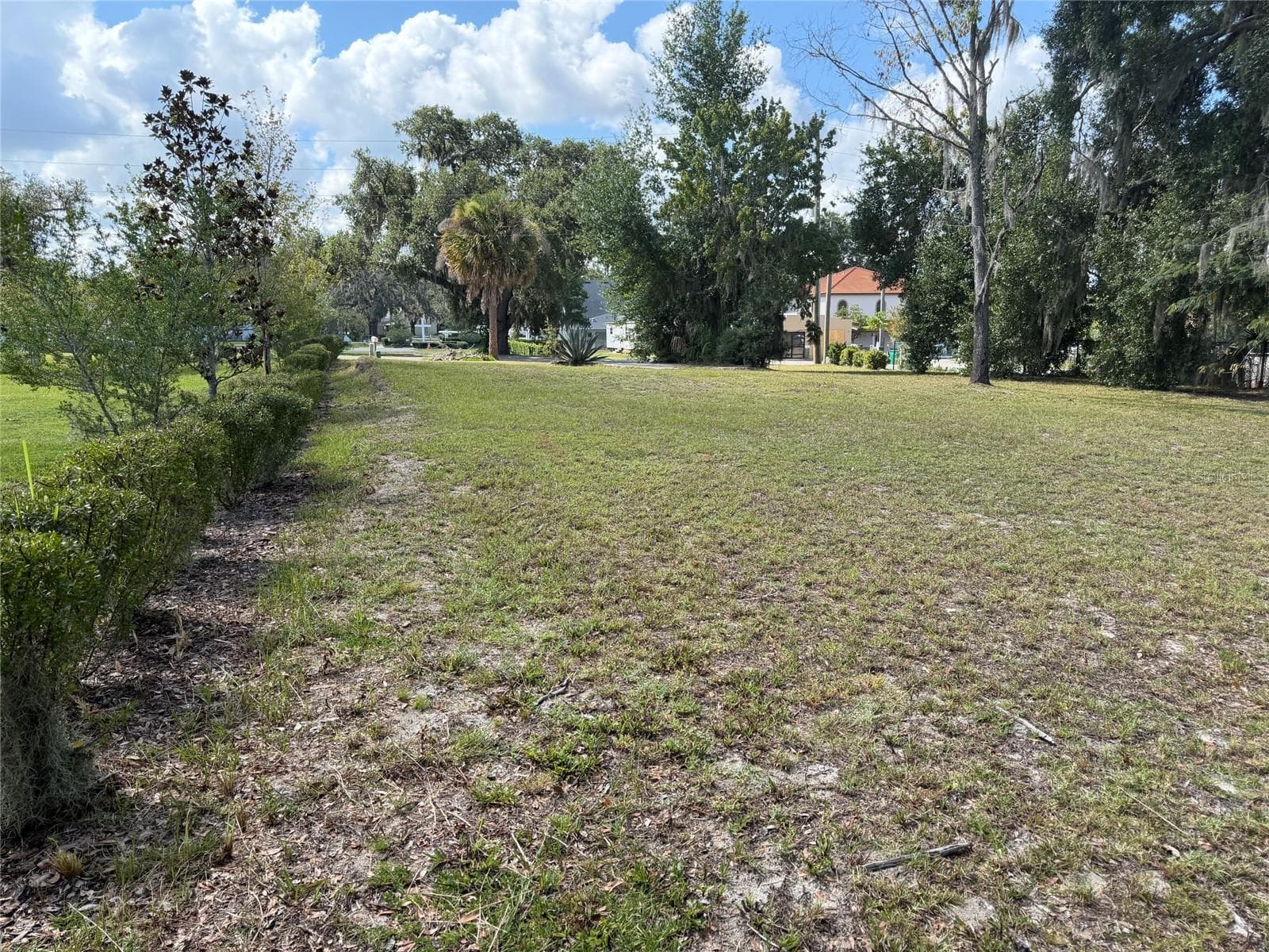 Land at 121 W LEMON ST, LADY LAKE, photo 10 of 10
