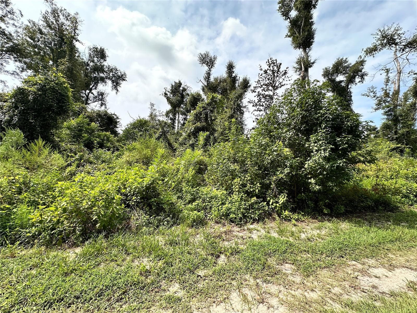 Land at NW WEST SOUTH DR, MAYO, photo 3 of 25